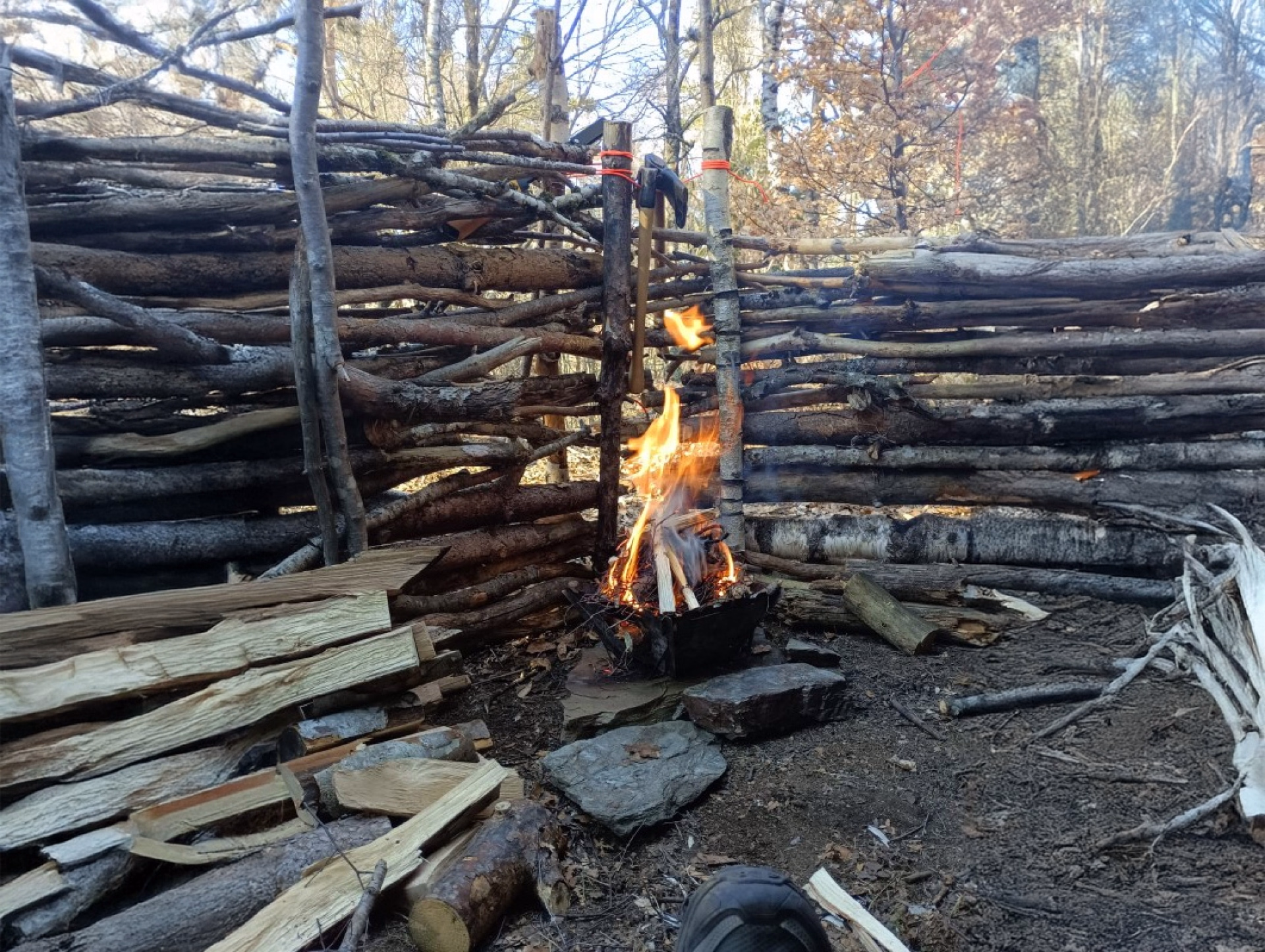 Stage survie de 3 jours dans les forêts du Vercors