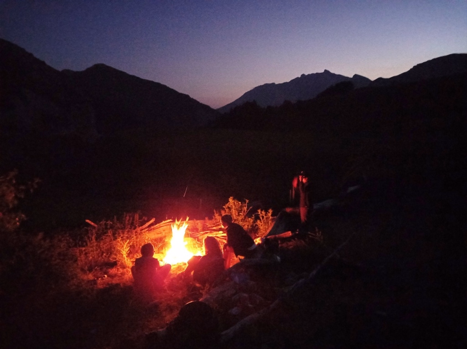 Randonnée et bivouac sur les traces du loup dans les Hautes-Alpes