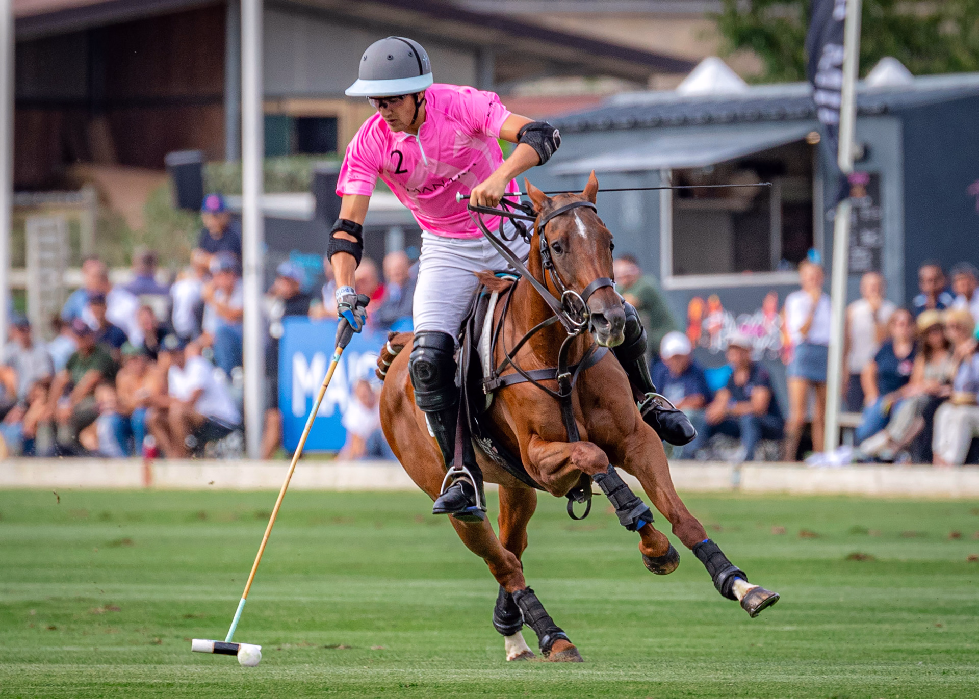 Stage d'initiation au polo à Chantilly