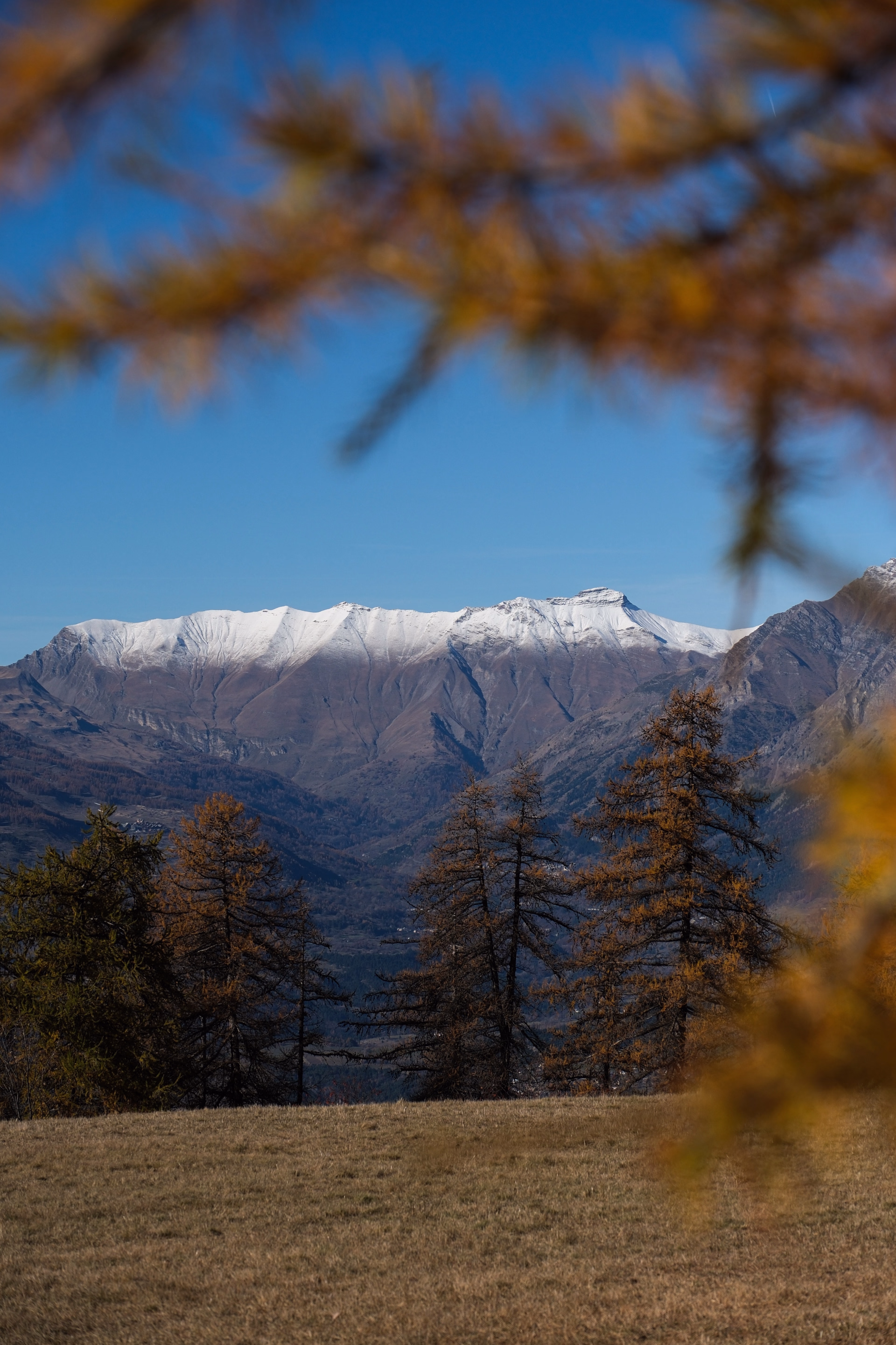 Yoga & rando en pleine nature dans les Hautes-Alpes