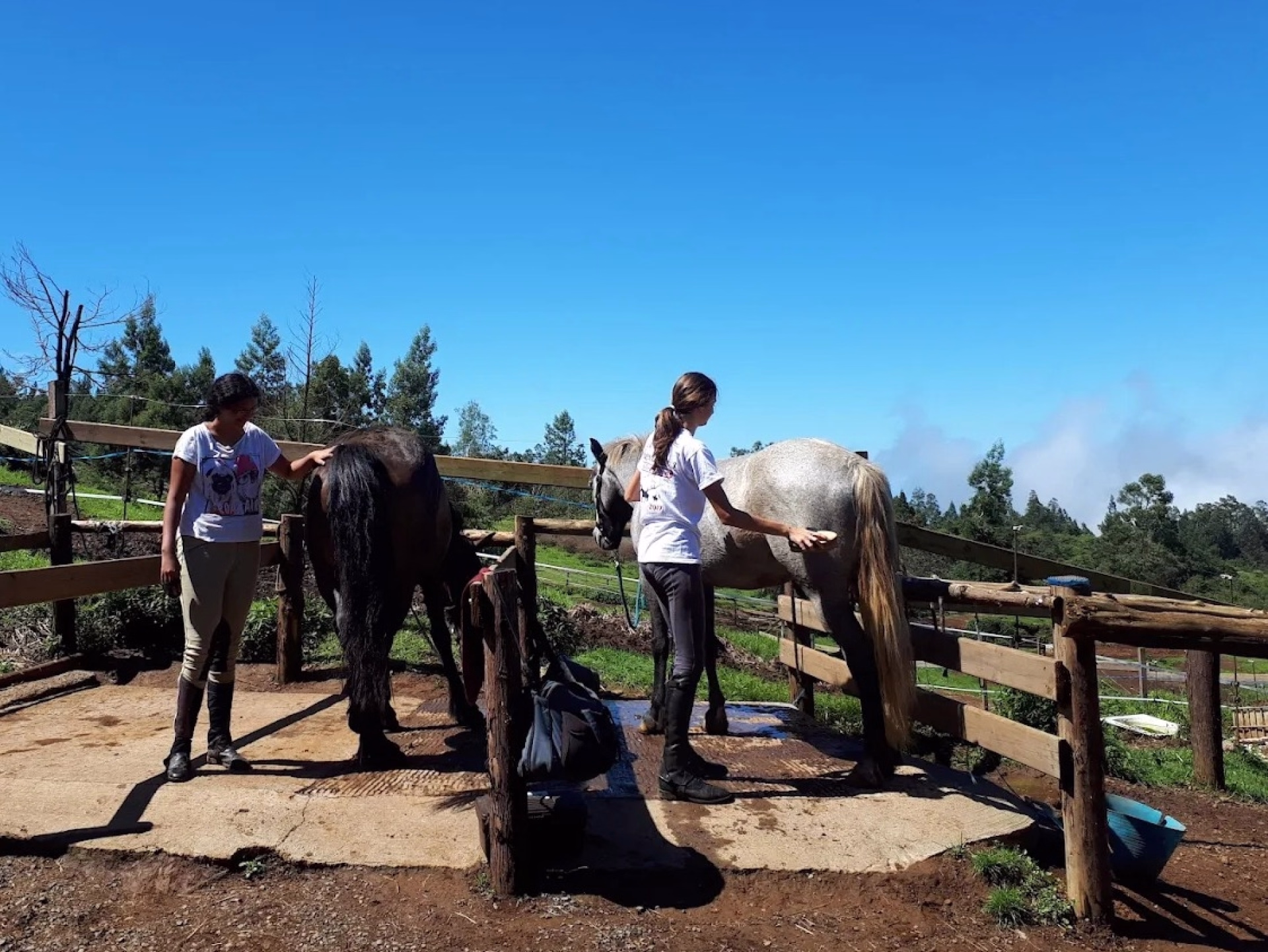 Séjour équestre engagé et immersif à La Réunion