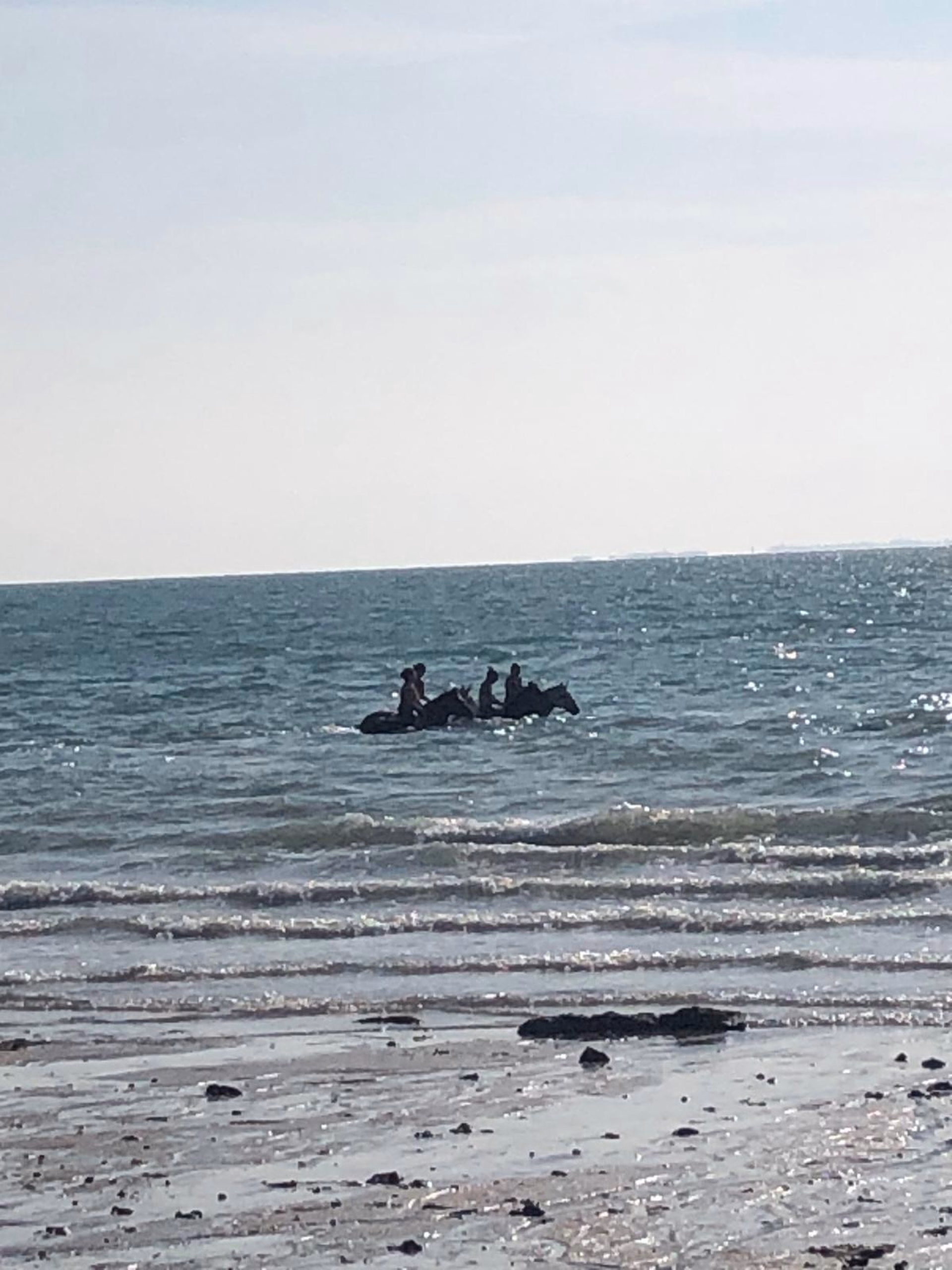 Randonnée à cheval vers les plages de la Vanlée