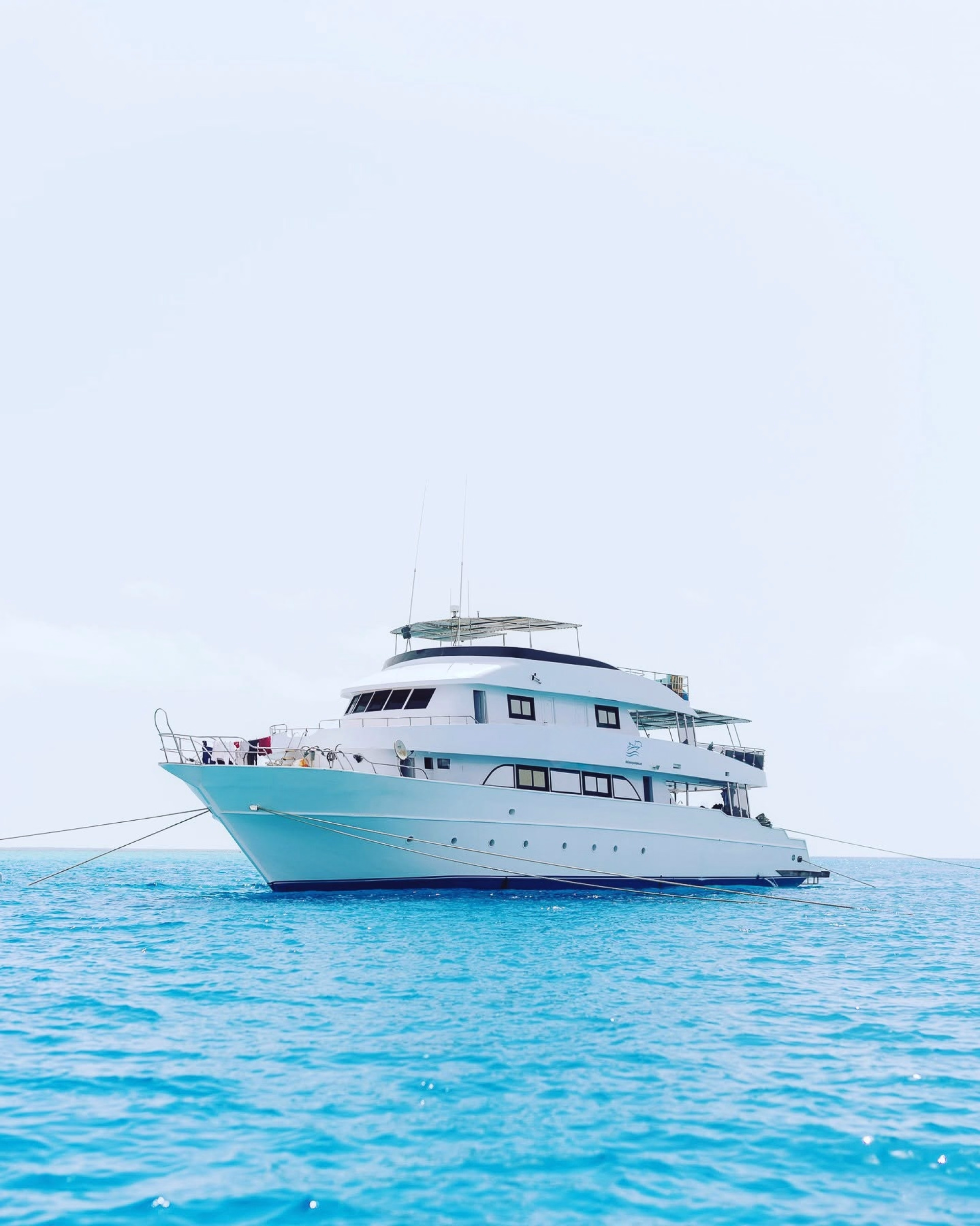 Croisière dauphins & récifs au cœur de la Mer Rouge