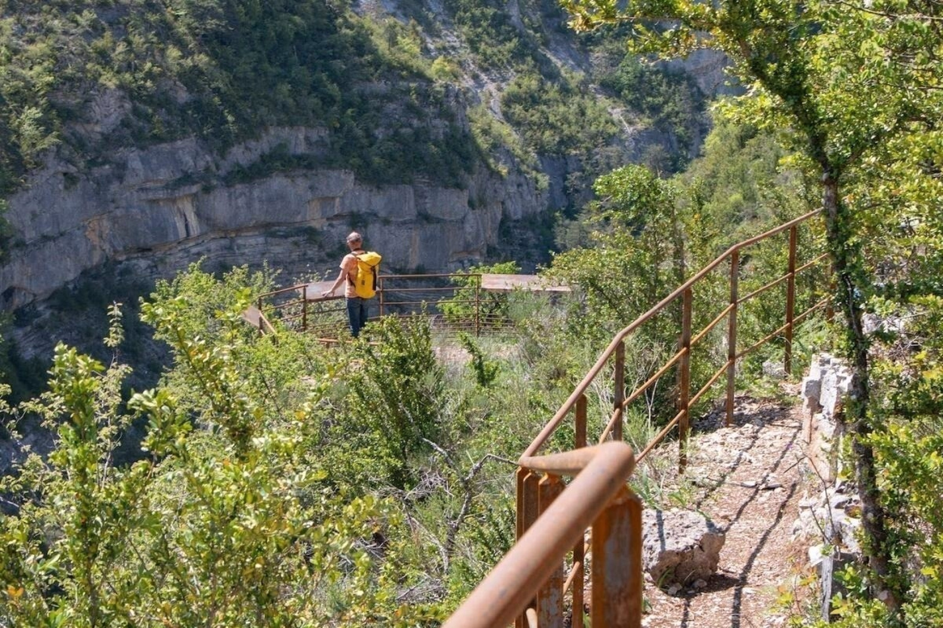 Rando, Jeûne Hydrique et Nature dans les forêts préservées du Buëch