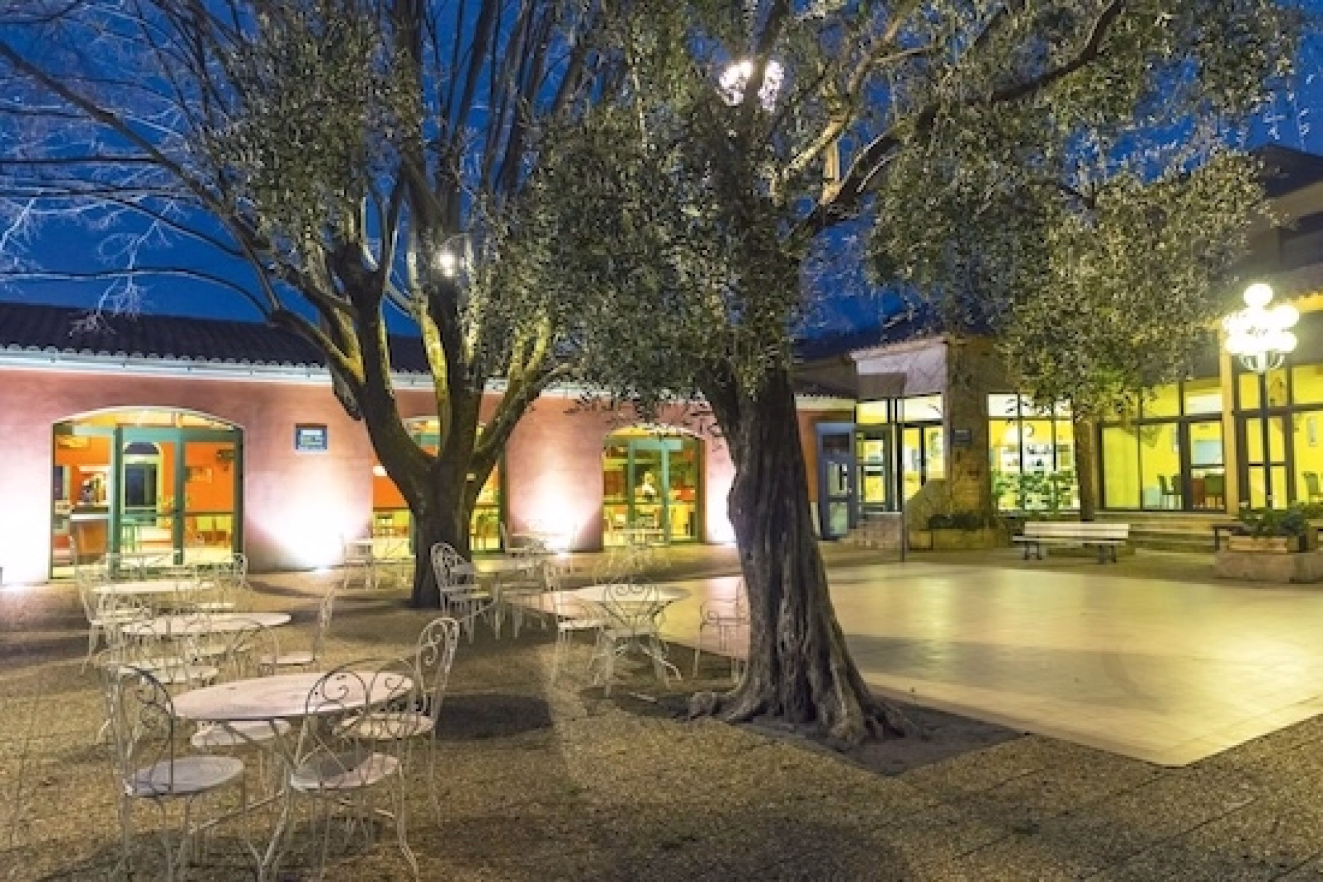 Rando entre mer et montagne : direction les Préalpes d'Azur !