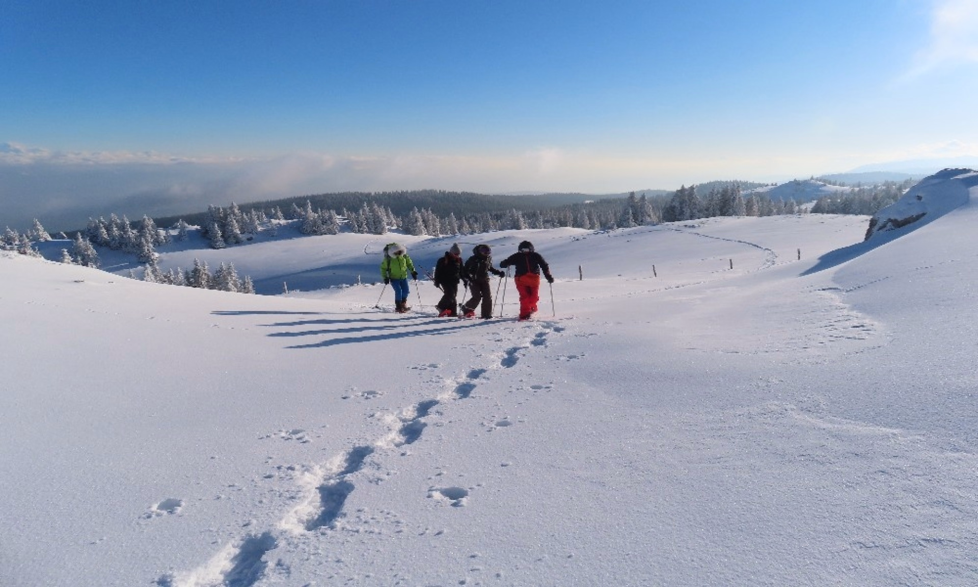 Immersion en raquettes au cœur du Jura suisse enneigé