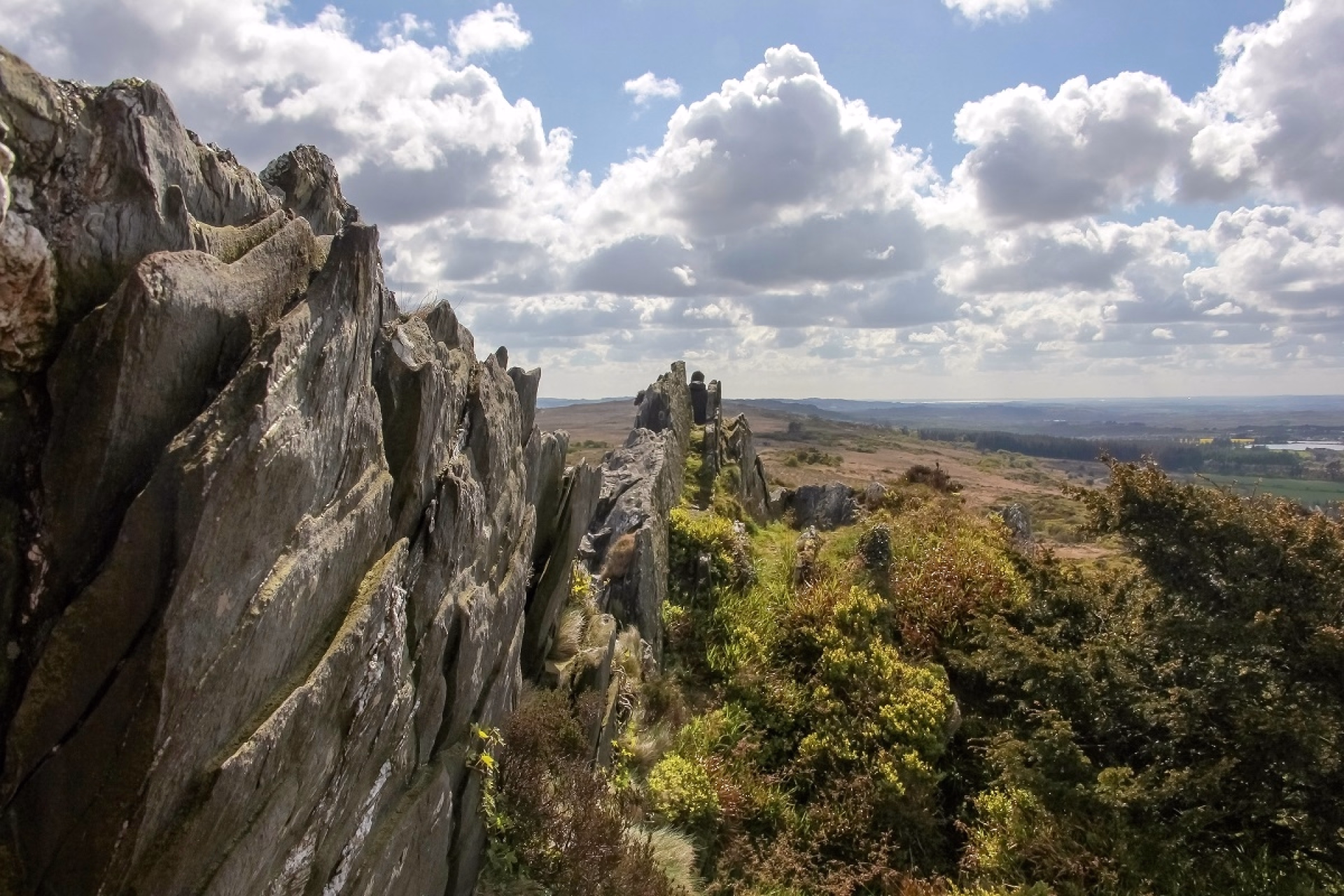 Randonnée en liberté sur le GR34 et falaises sauvages de Douarnenez