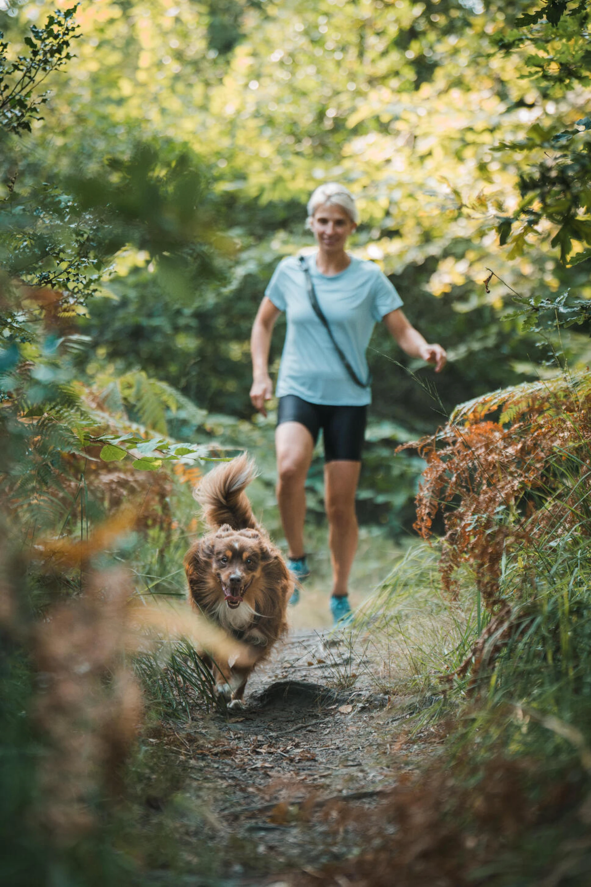 séjour multiactivité chien