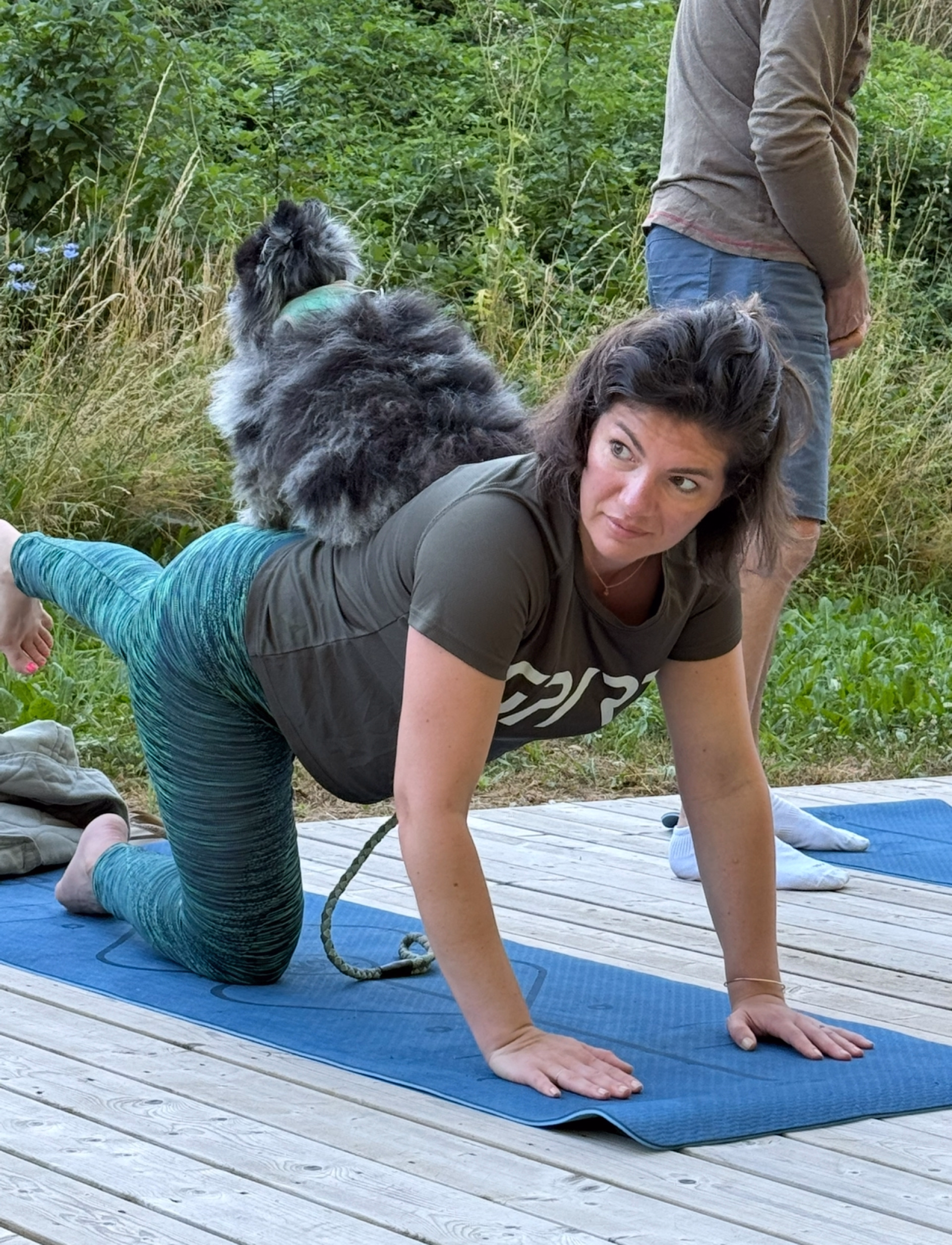 Séjour randonnée et doga en Haute-Savoie avec votre chien