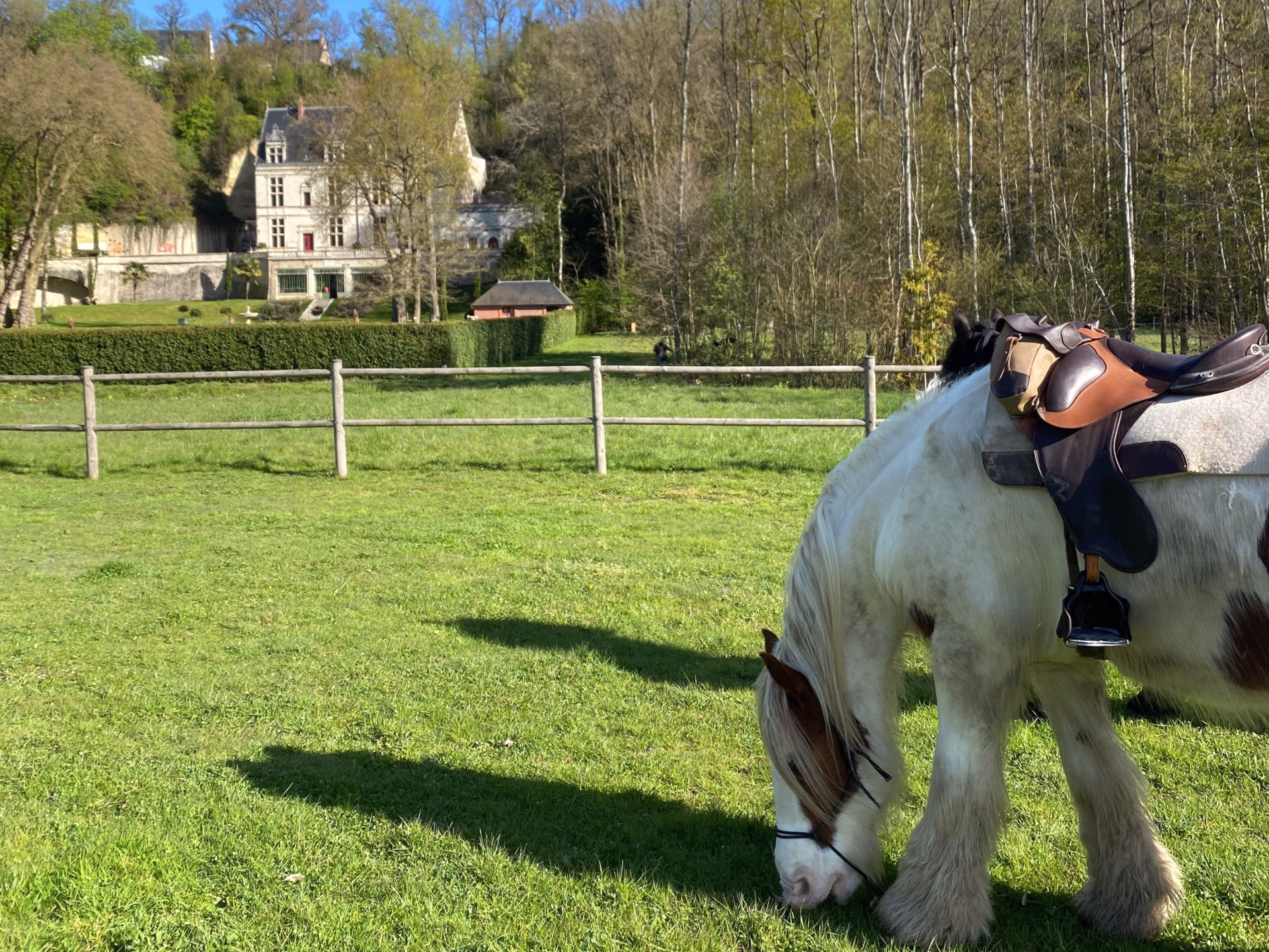 Randonnée à cheval de 2 jours avec Bivouac Royal