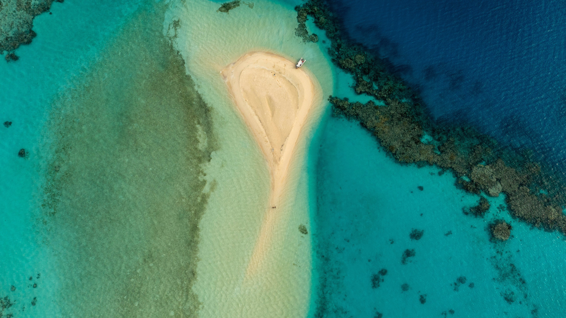 2 semaines de plongée à Marsa Alam