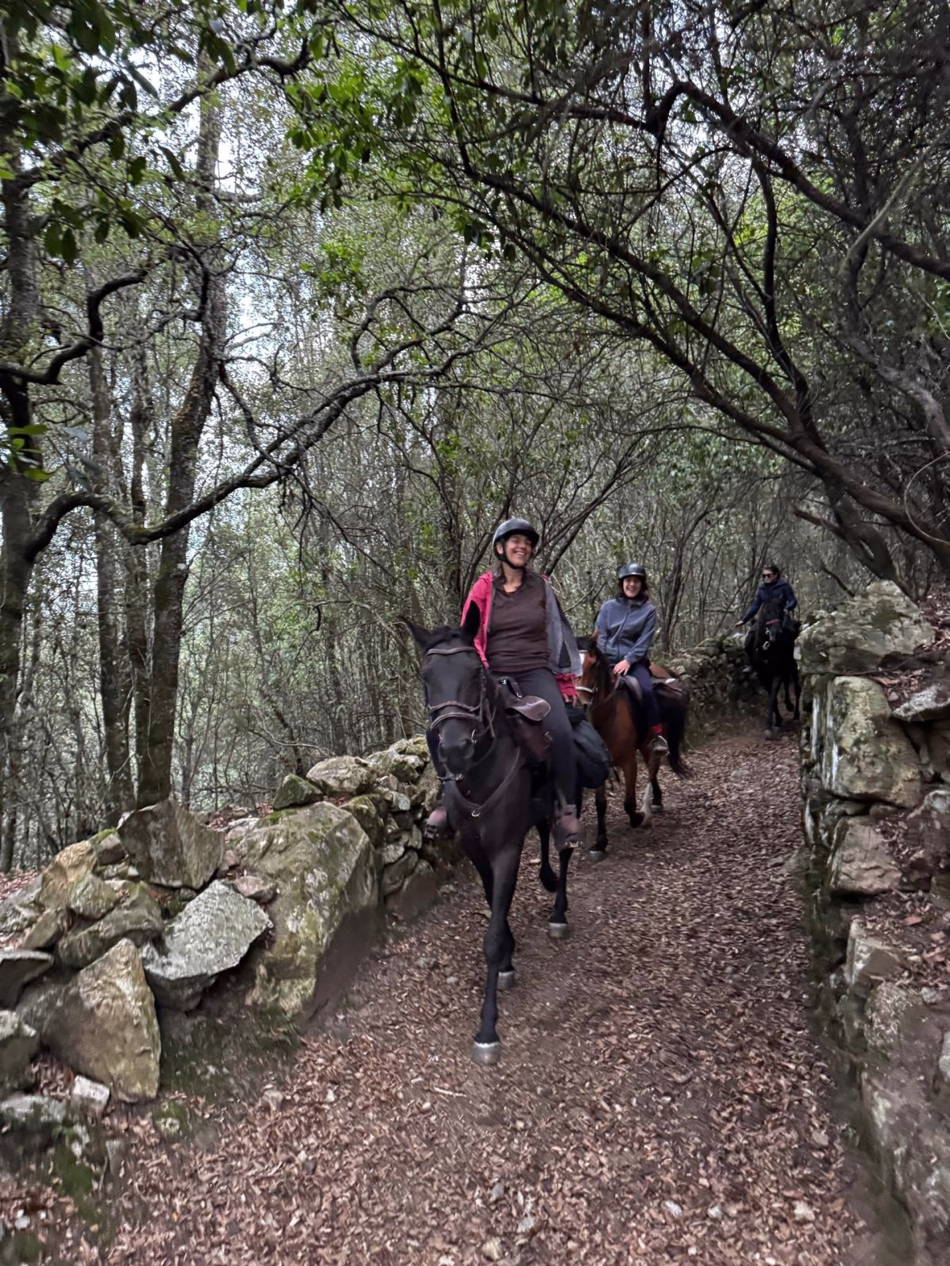 Randonnée équestre sur les chemins de transhumance en Corse