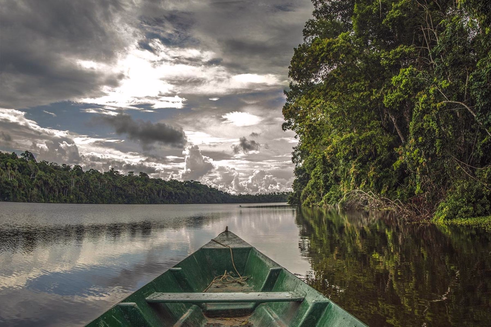 Réserve nationale de Tambopata : le sanctuaire de la nature
