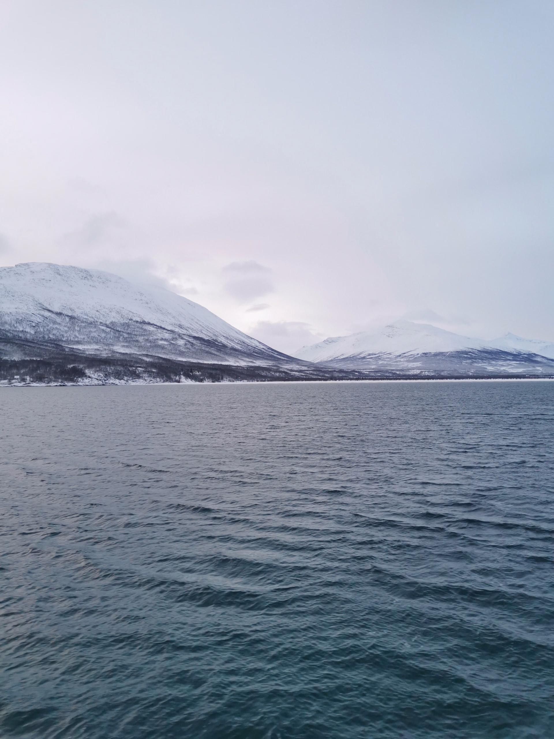 Photo des paysages en Laponie
