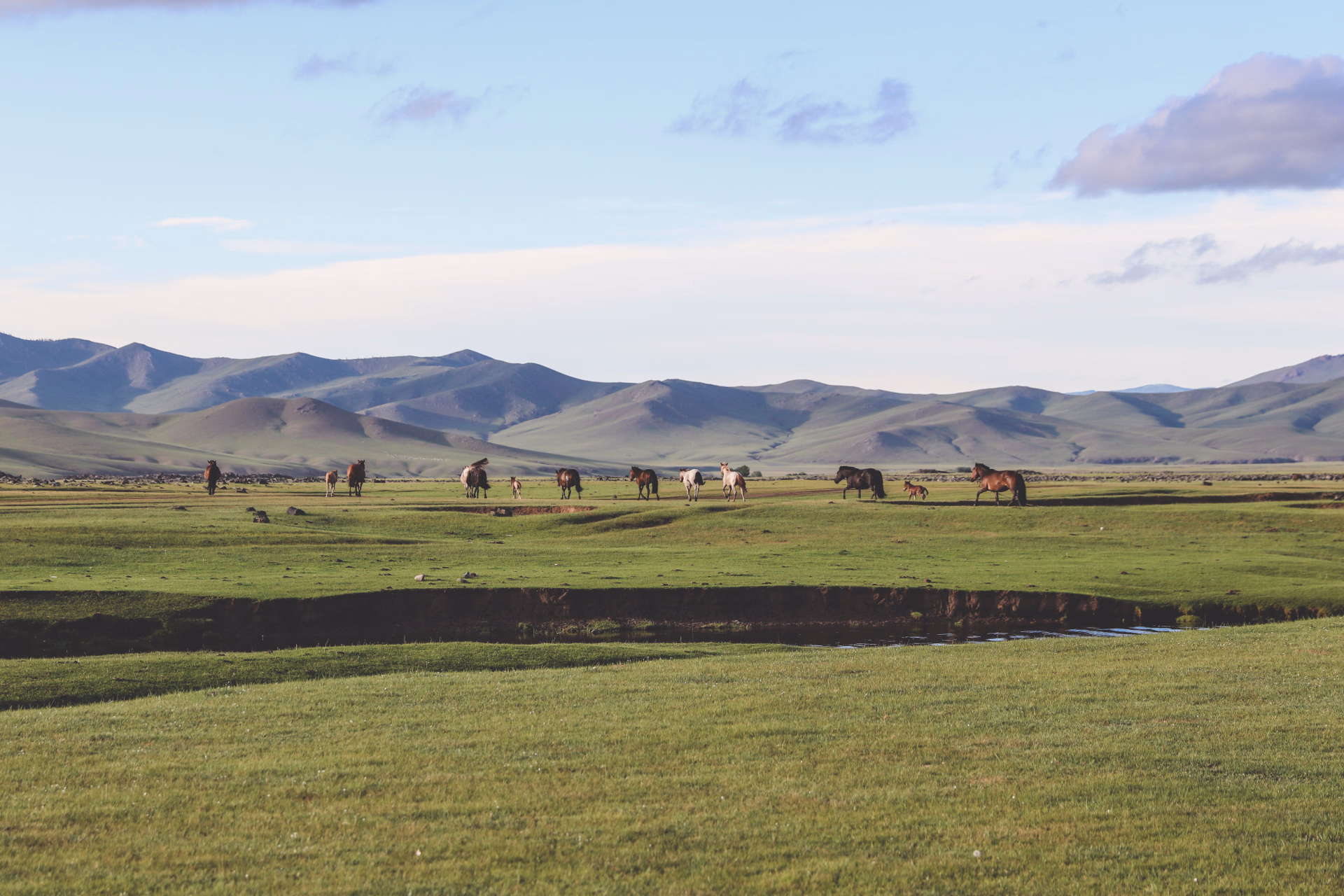 Randonnée à cheval en Mongolie