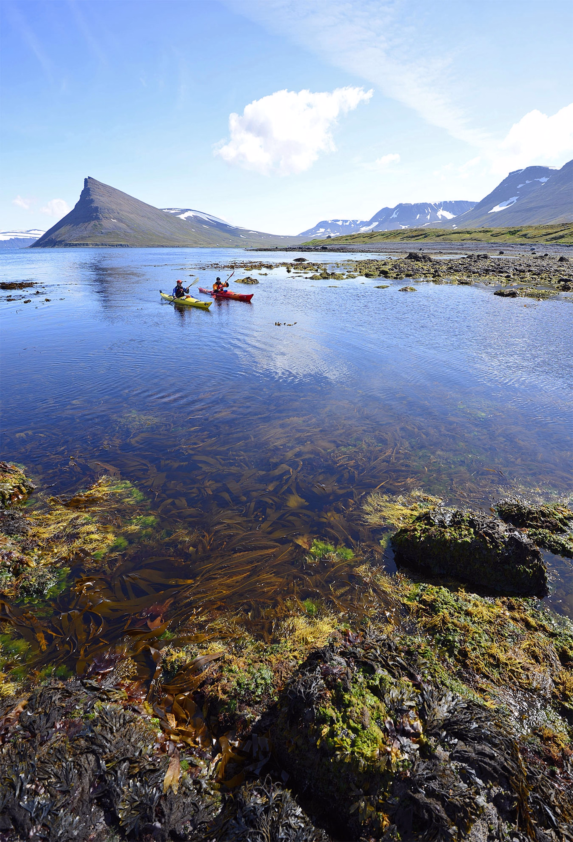 Pagayer en pleine nature en Kayak de mer à Hornstrandir