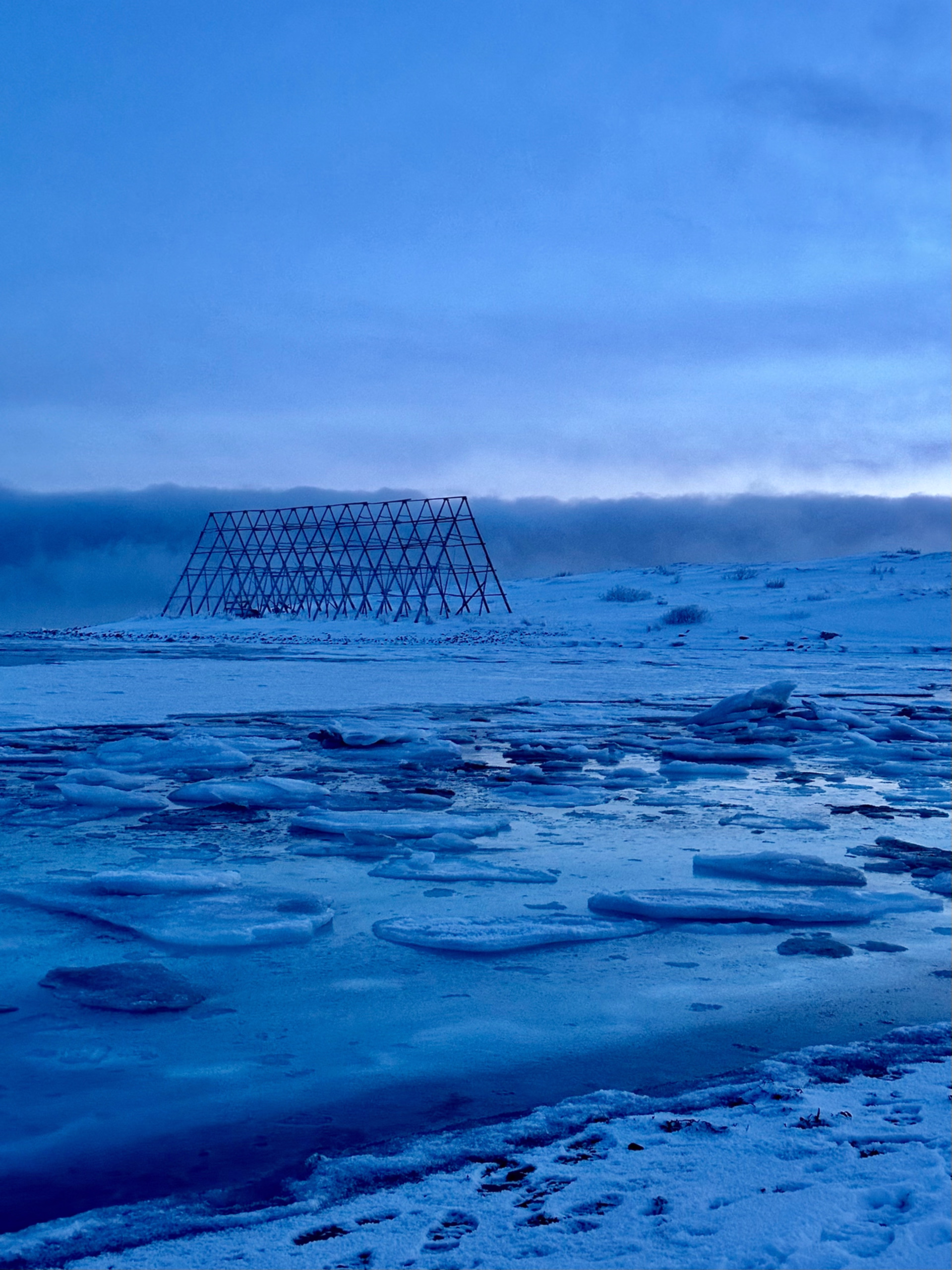 Expédition en terre arctique - chiens de traîneau et bivouac