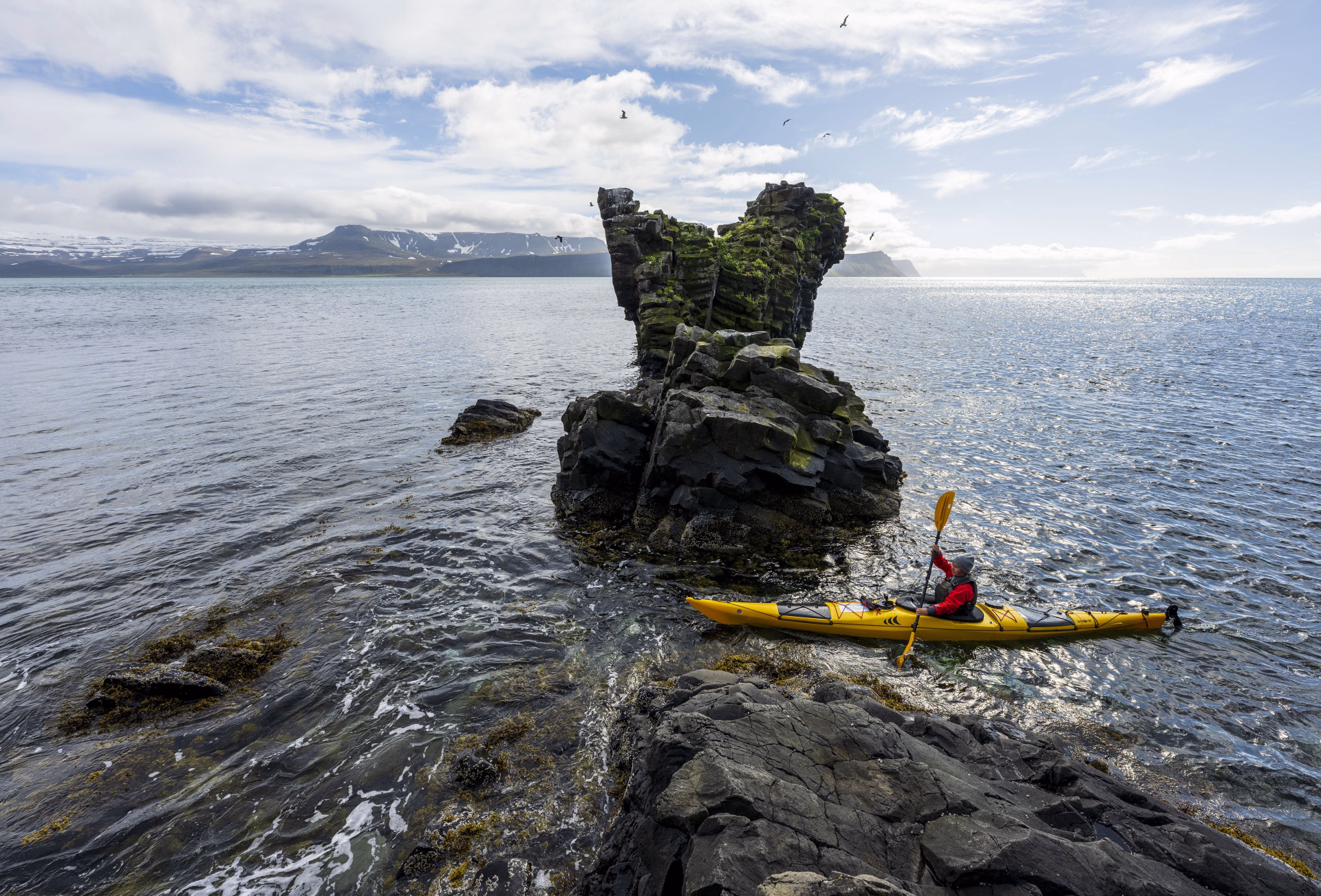 Pagayer en pleine nature en Kayak de mer à Hornstrandir