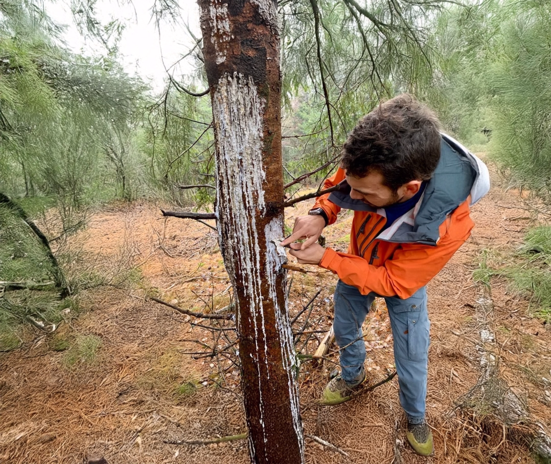 Stage survie de 3 jours dans les forêts du Vercors