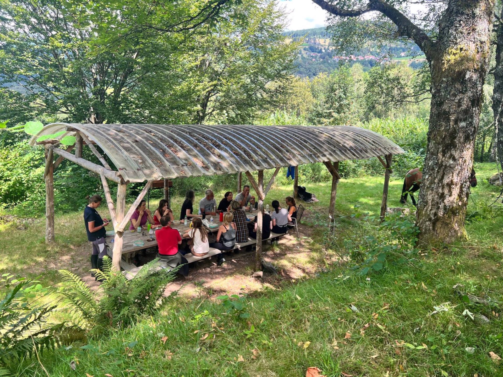 Randonnée équestre panoramique dans le massif vosgien