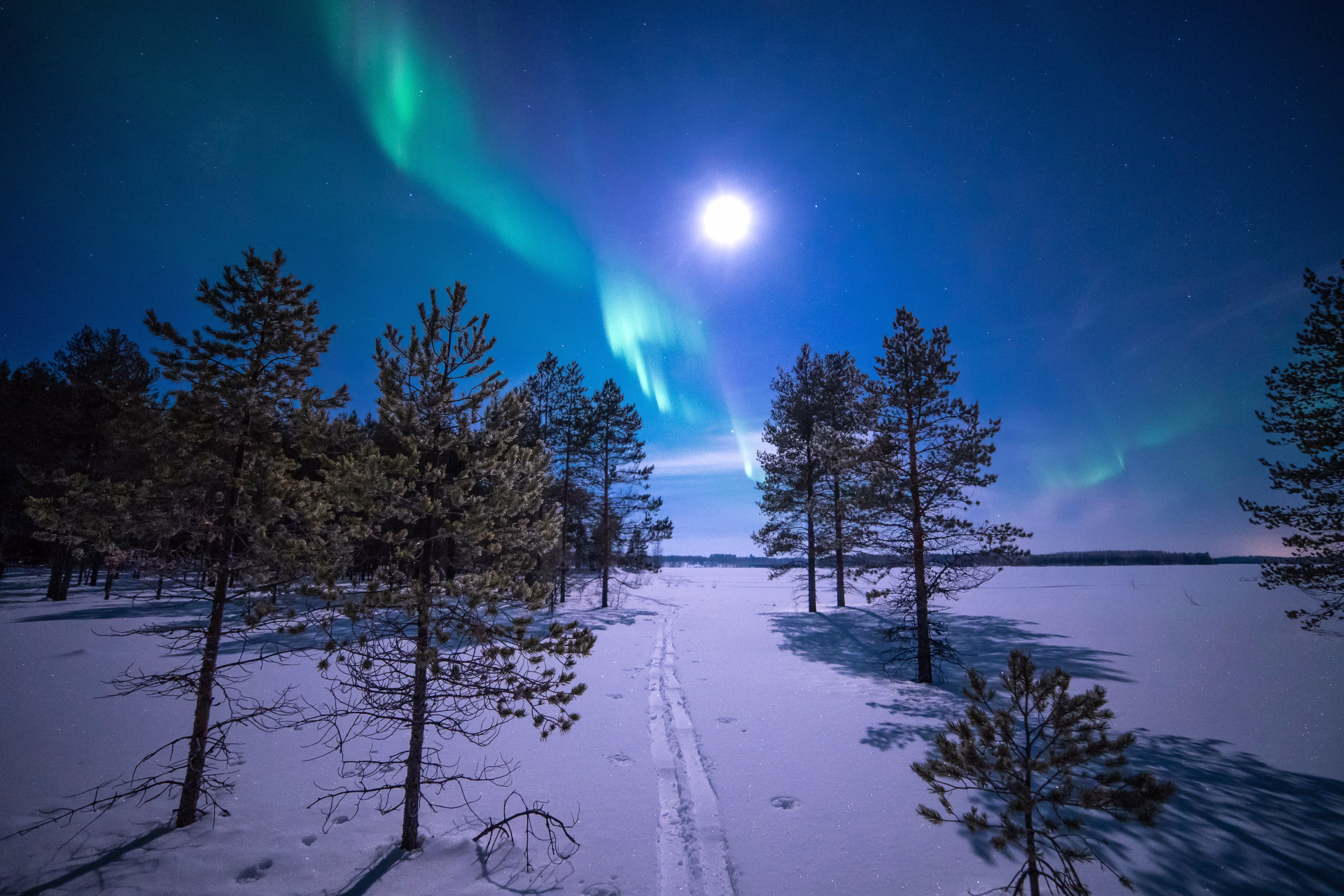Aventure Finlandaise authentique pour Noël