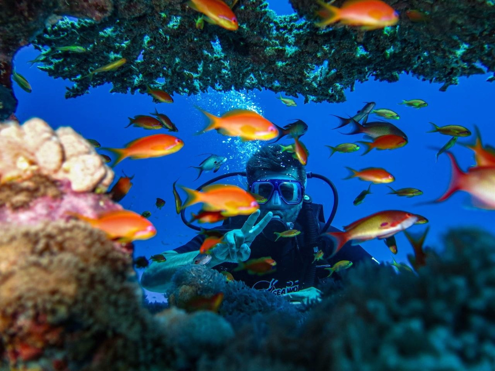 Plongée niveau intermédiaire et snorkeling à Charm el-Cheikh