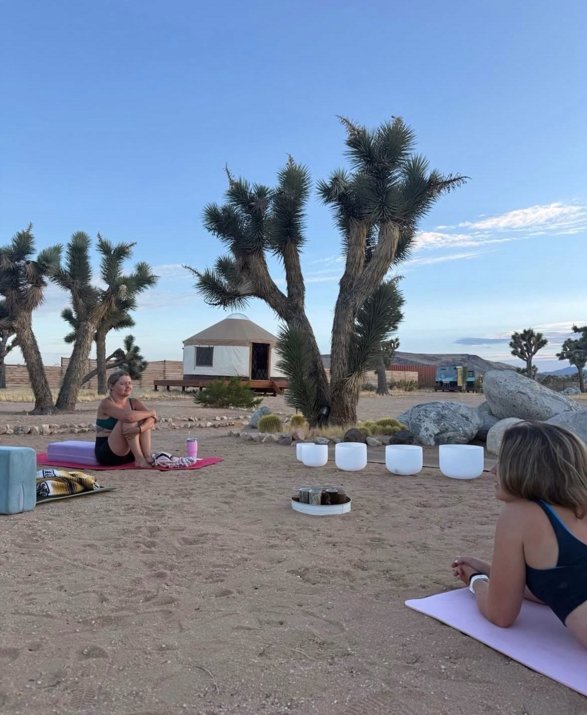 Désert sauvage — 6 jours de yoga & d'aventure à Joshua Tree