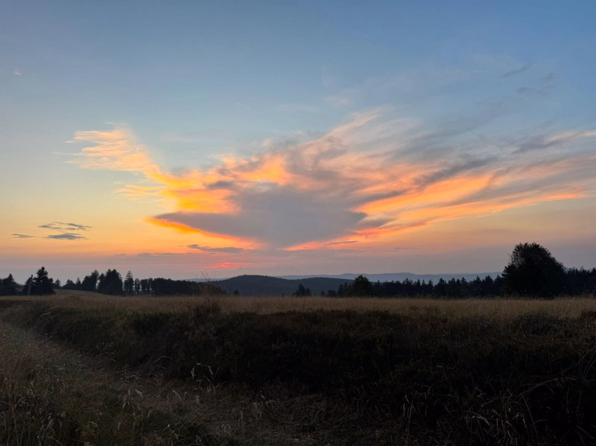 Randonnée équestre panoramique dans le massif vosgien