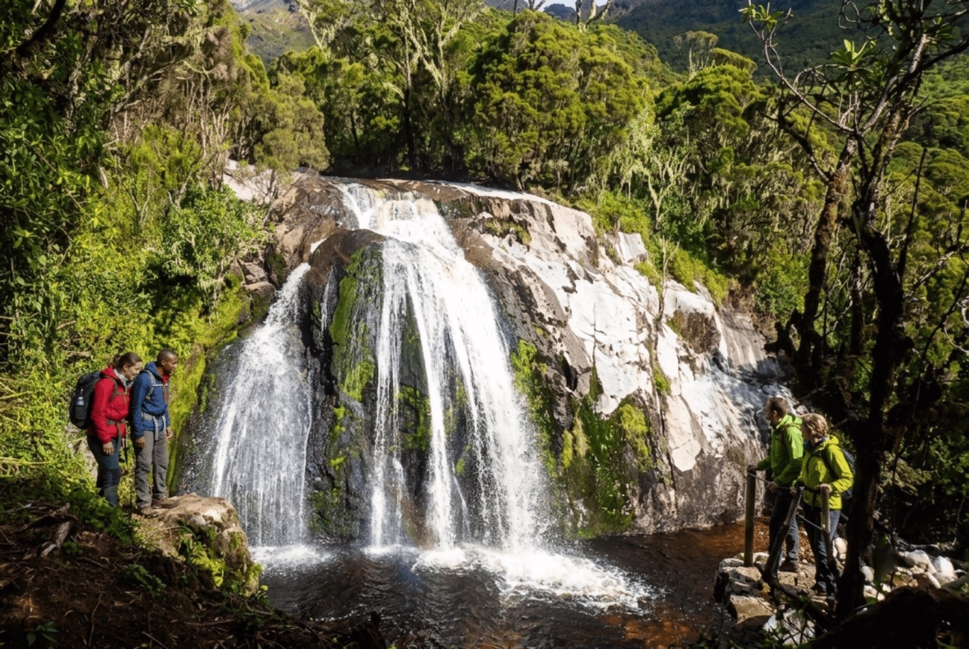 8 jours dans les montagnes du Rwenzori en Ouganda