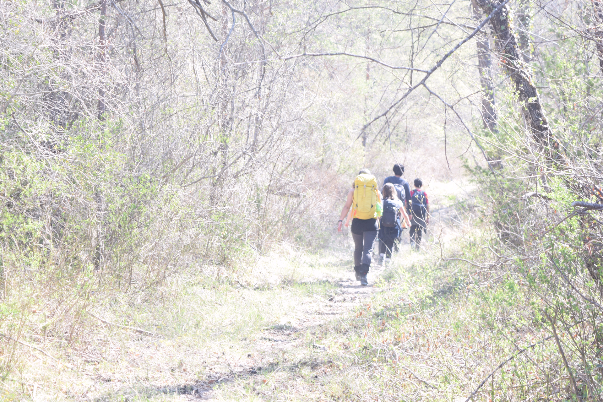Trek rando aventure dans les Préalpes d'azur