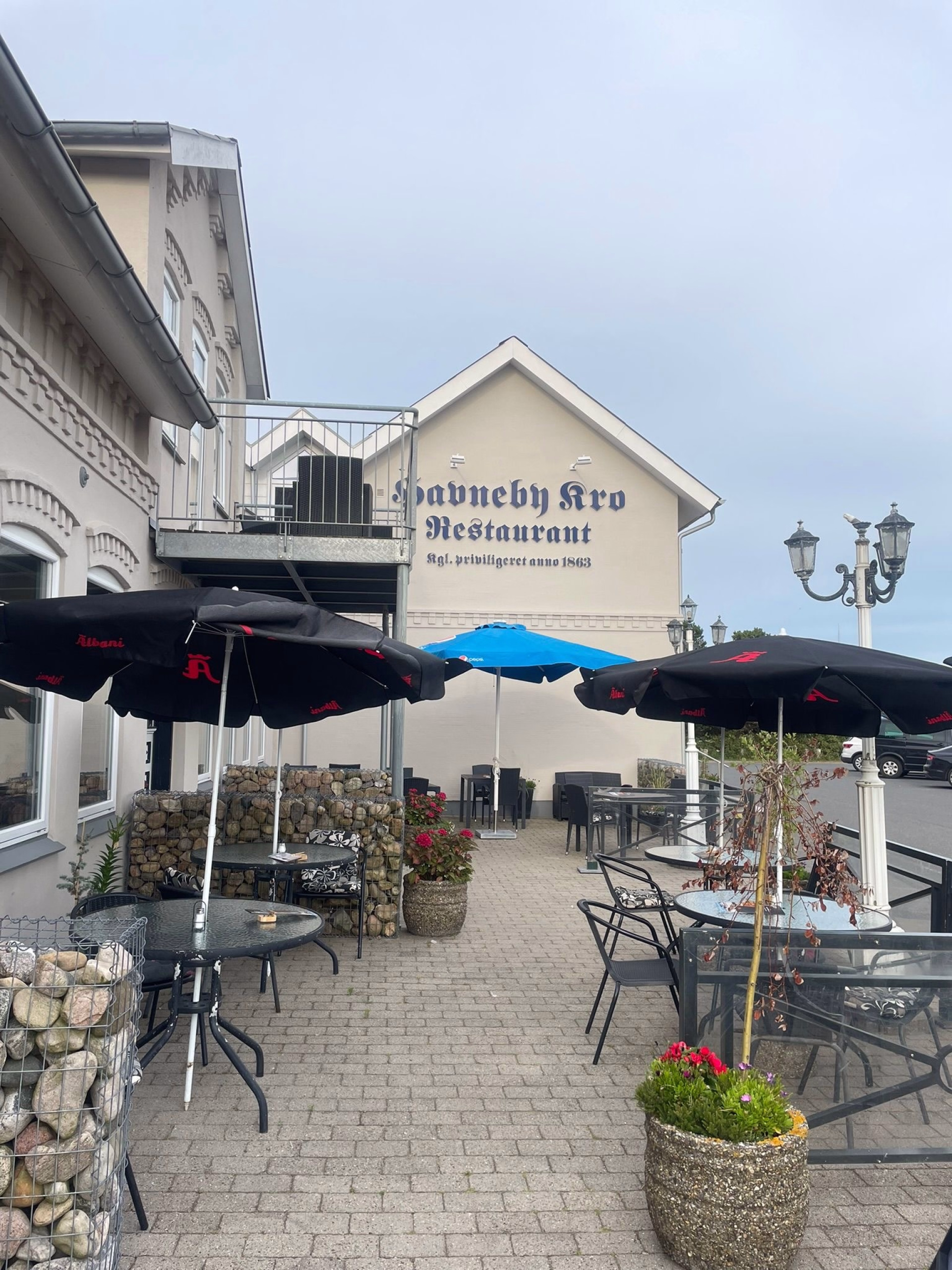 Randonnée équestre sur les plages du Danemark entre fjords et Wadden