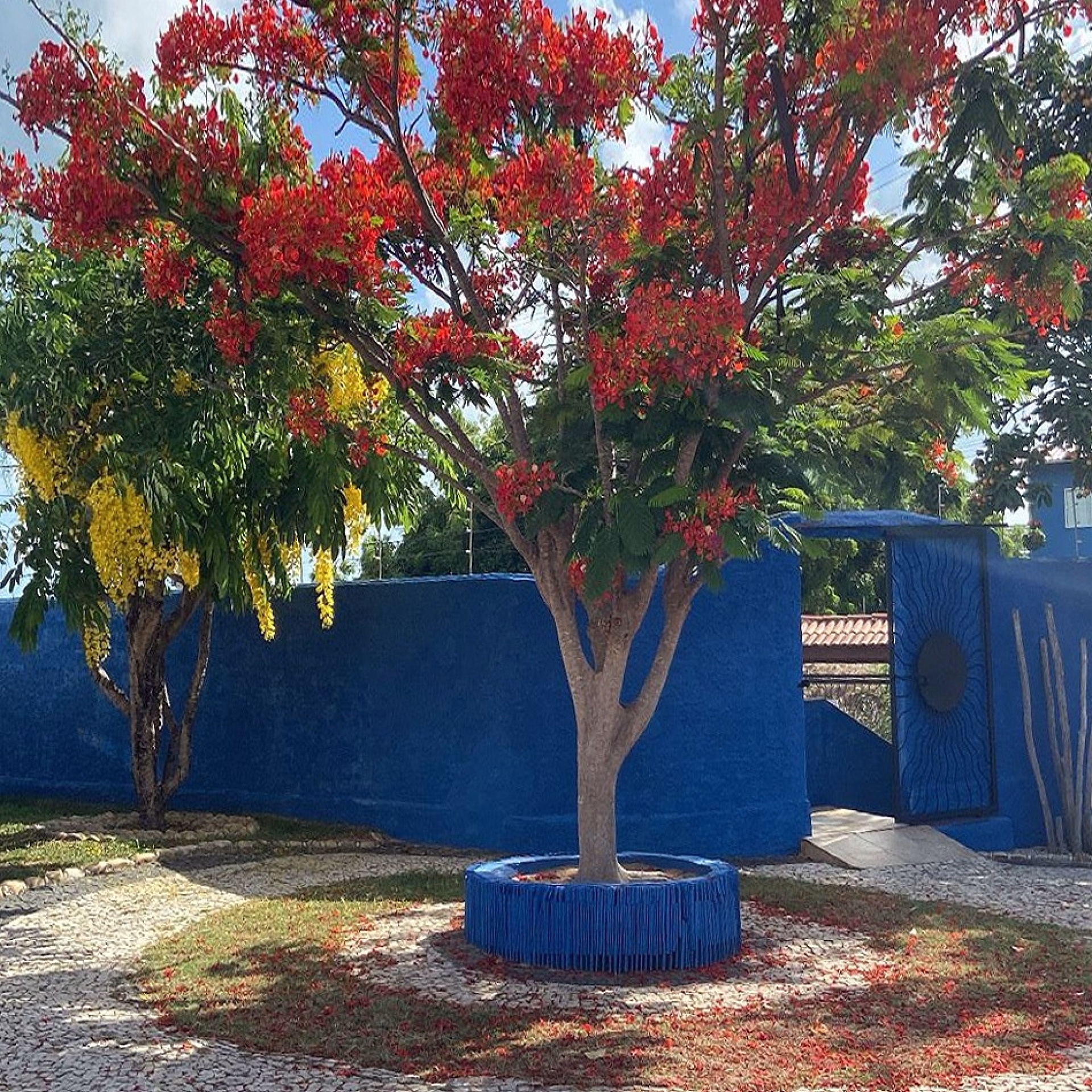 🏠 Auberge - Jours 1 à 9