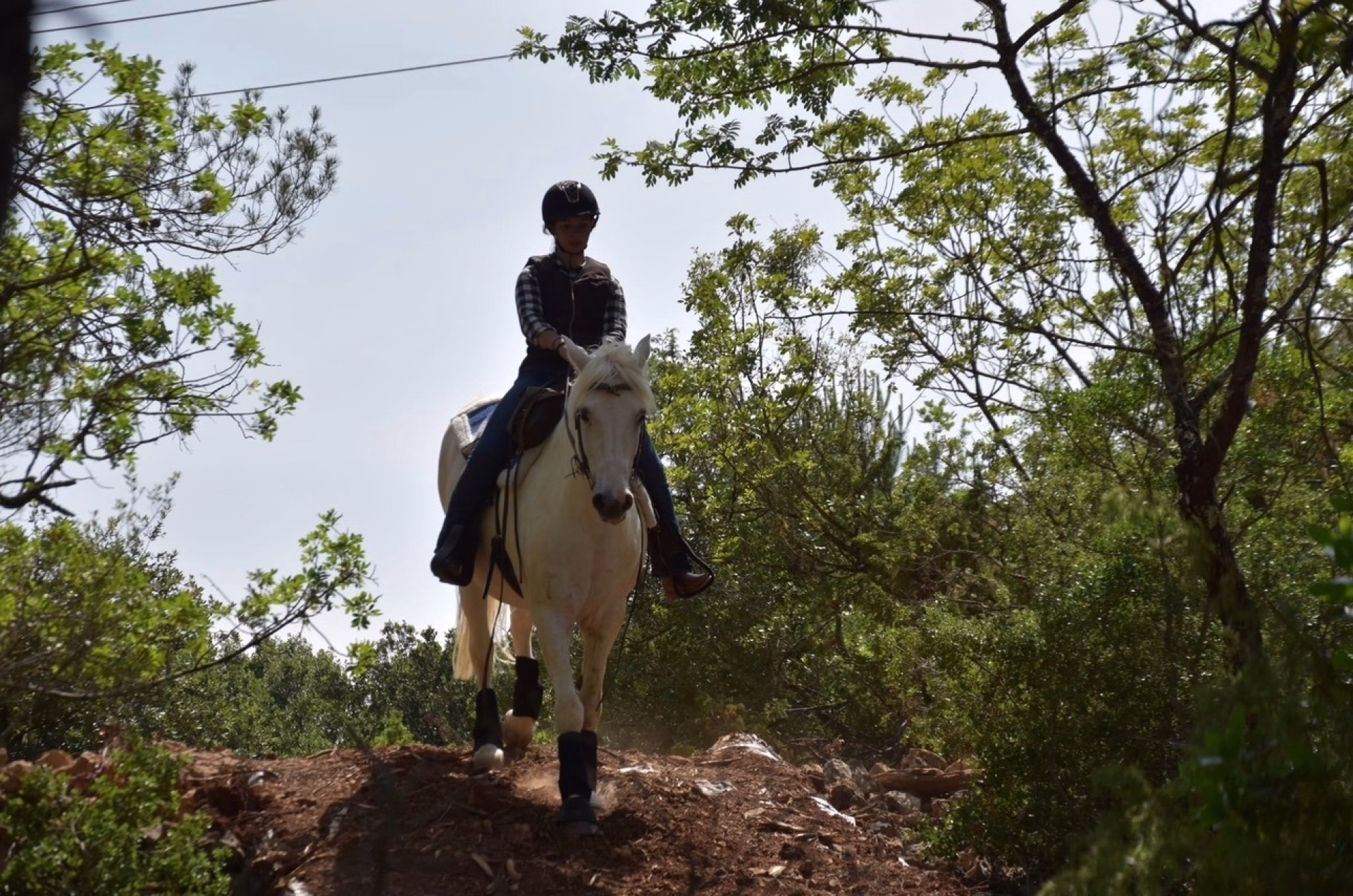 Week-end équitation western en Provence verte façon ranch