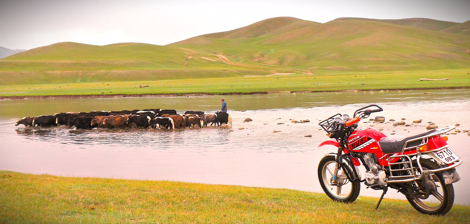 Randonnée à pied et à cheval nomade au cœur de la Mongolie