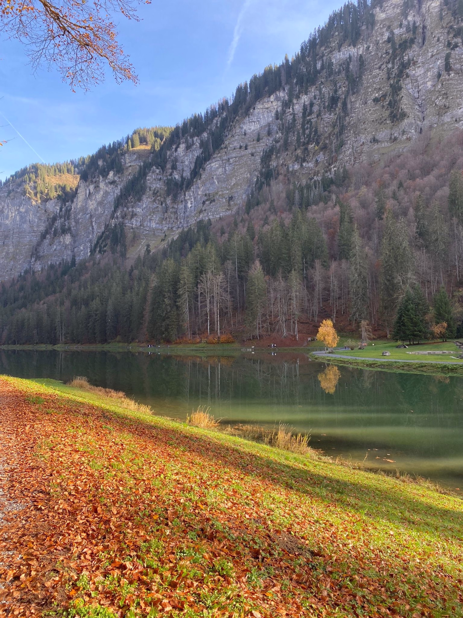 Break automnal 4 jours en Haute-Savoie : yoga, balades & spa