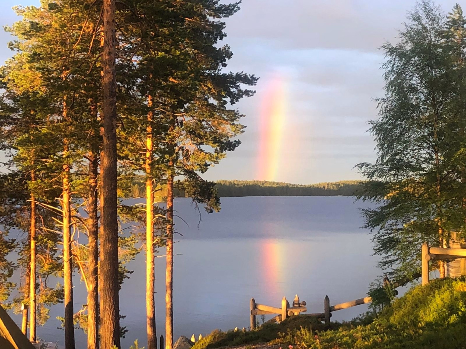 Randonnée dans la Taïga sauvage Finlandaise