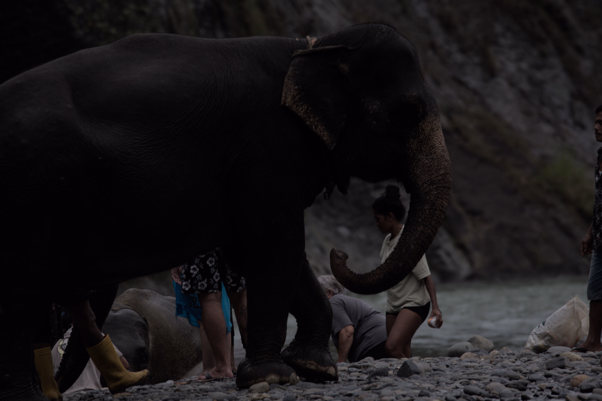 Sumatra Nord en vélo électrique : Lac Toba et jungle de Sumatra