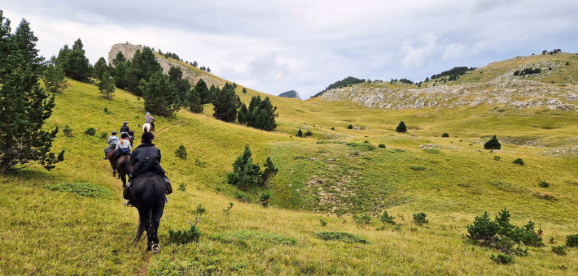 Randonnée à cheval dans le Vercors
