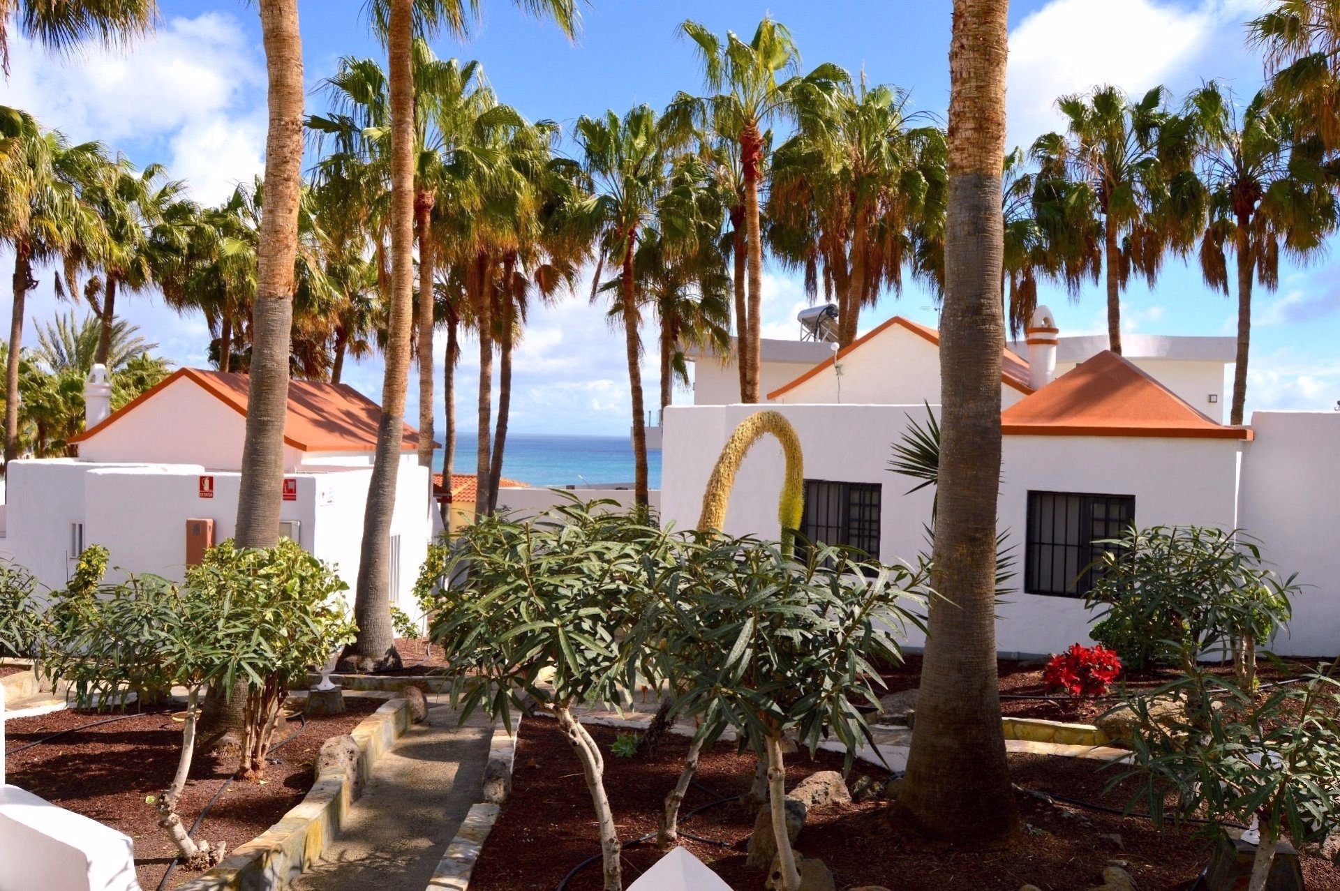 Expérience de surf authentique à Fuerteventura