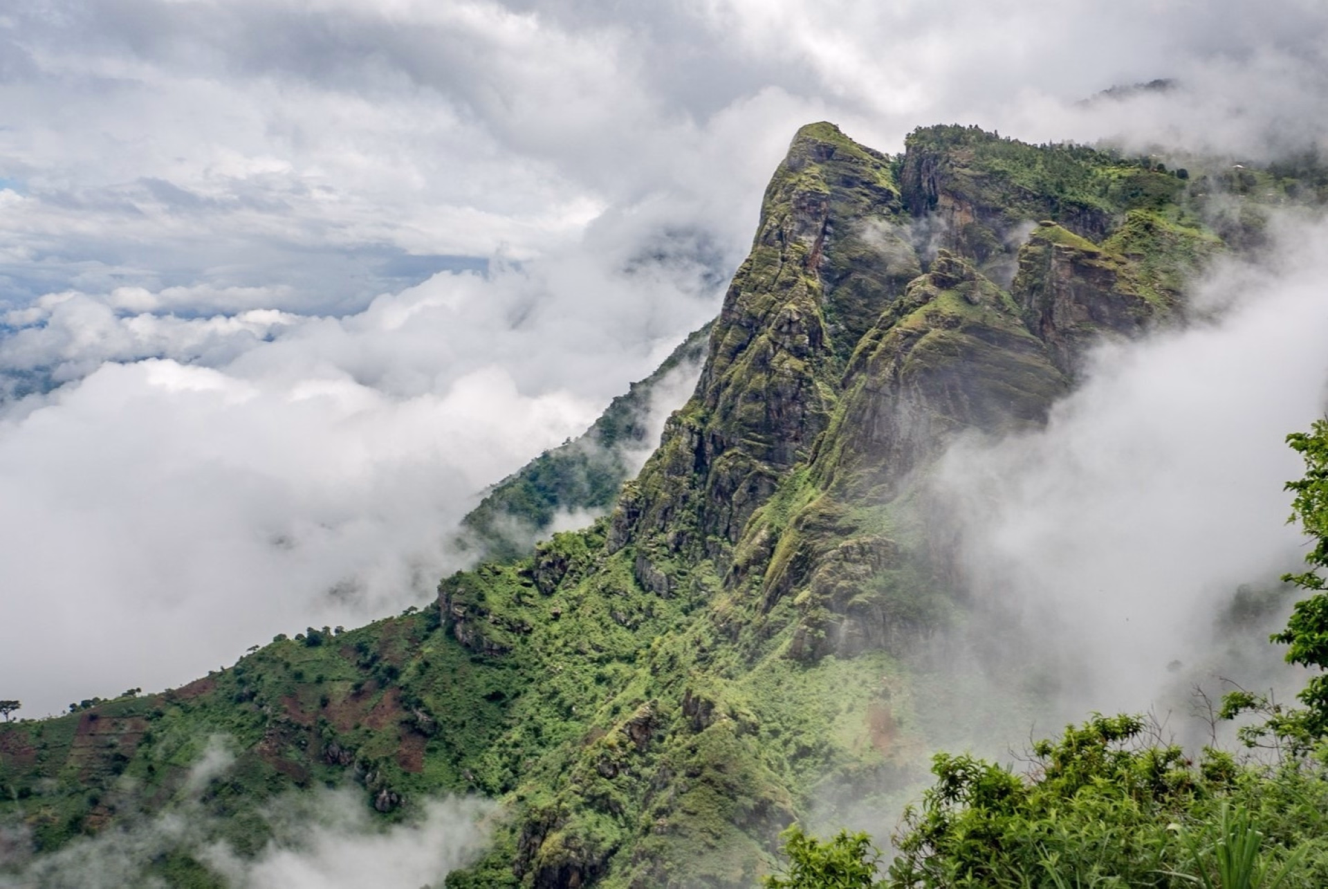 6 jours dans les montagnes de l'Usambara