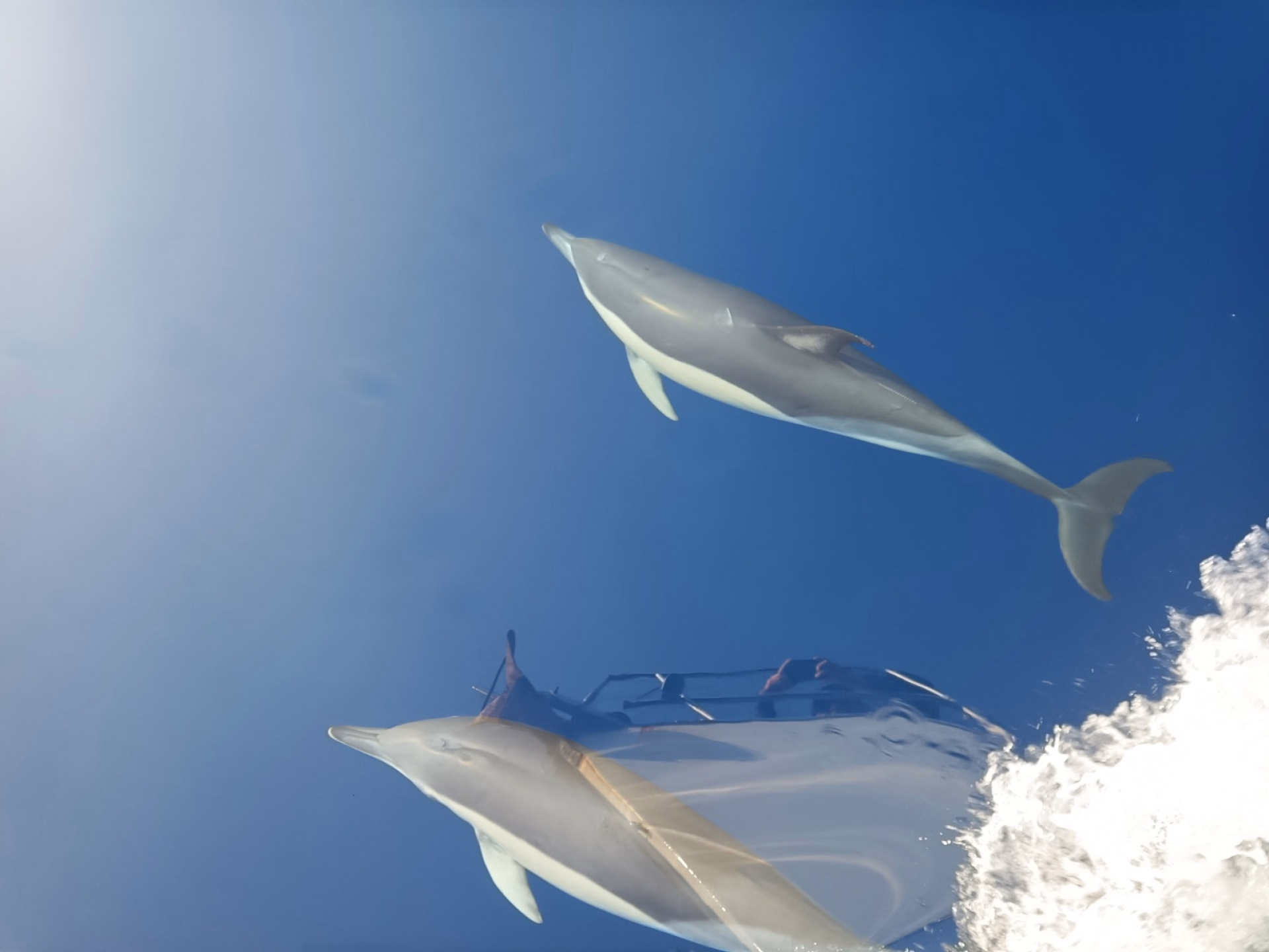 Stage de voile FFV entre le golfe du Morbihan et Belle-Île