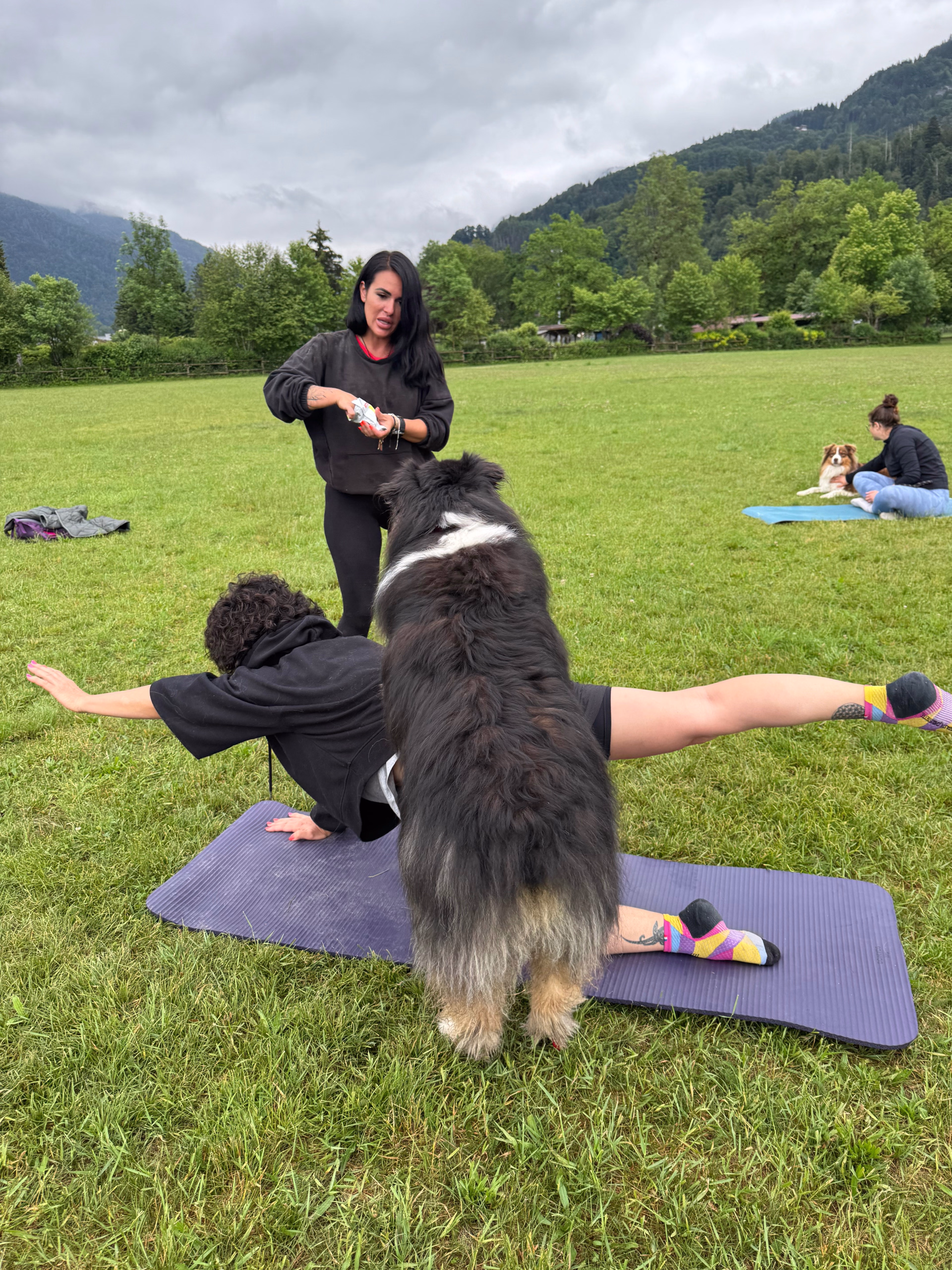 Séjour randonnée et doga en Haute-Savoie avec votre chien