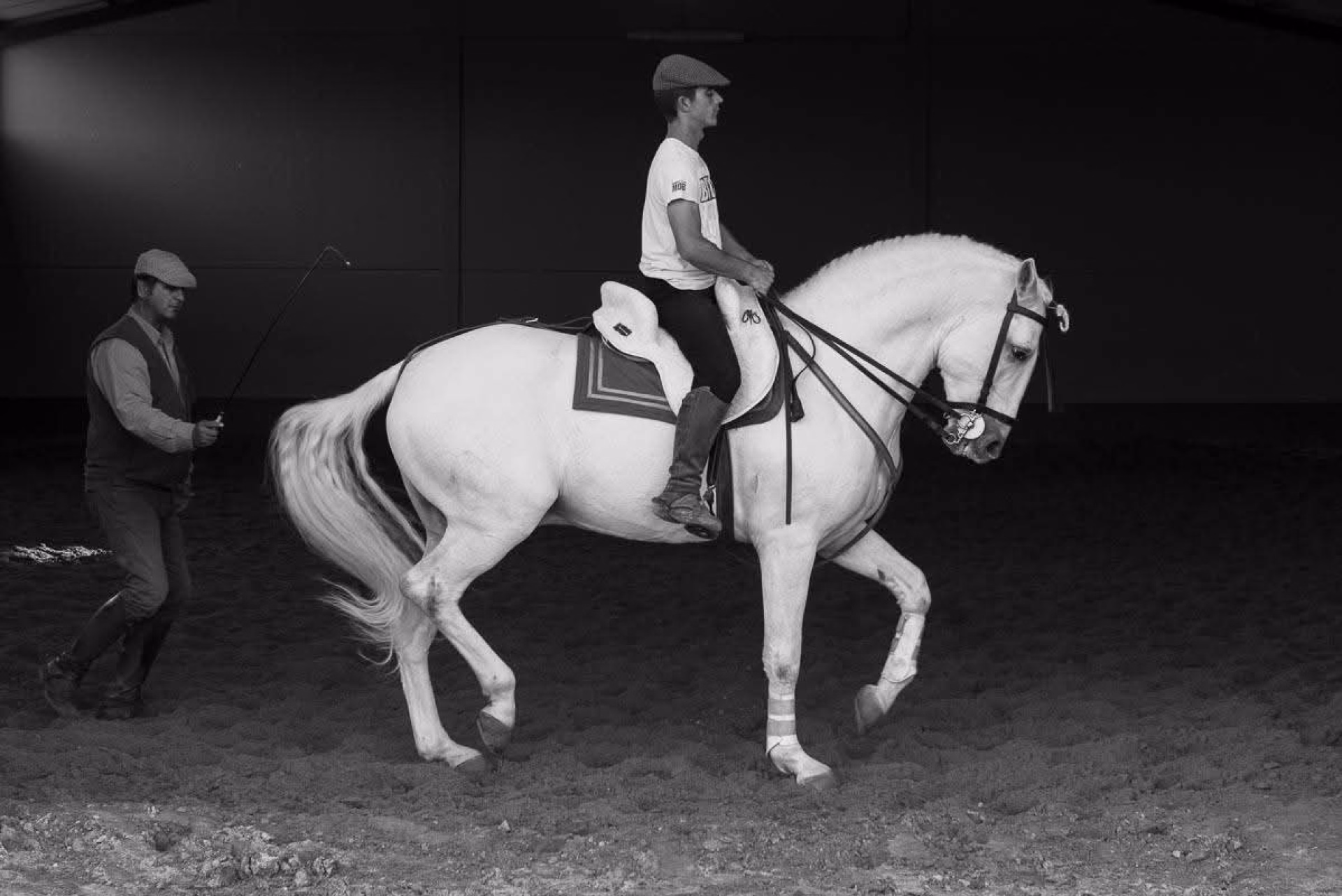Stage perfectionnement dressage d'équitation andalouse