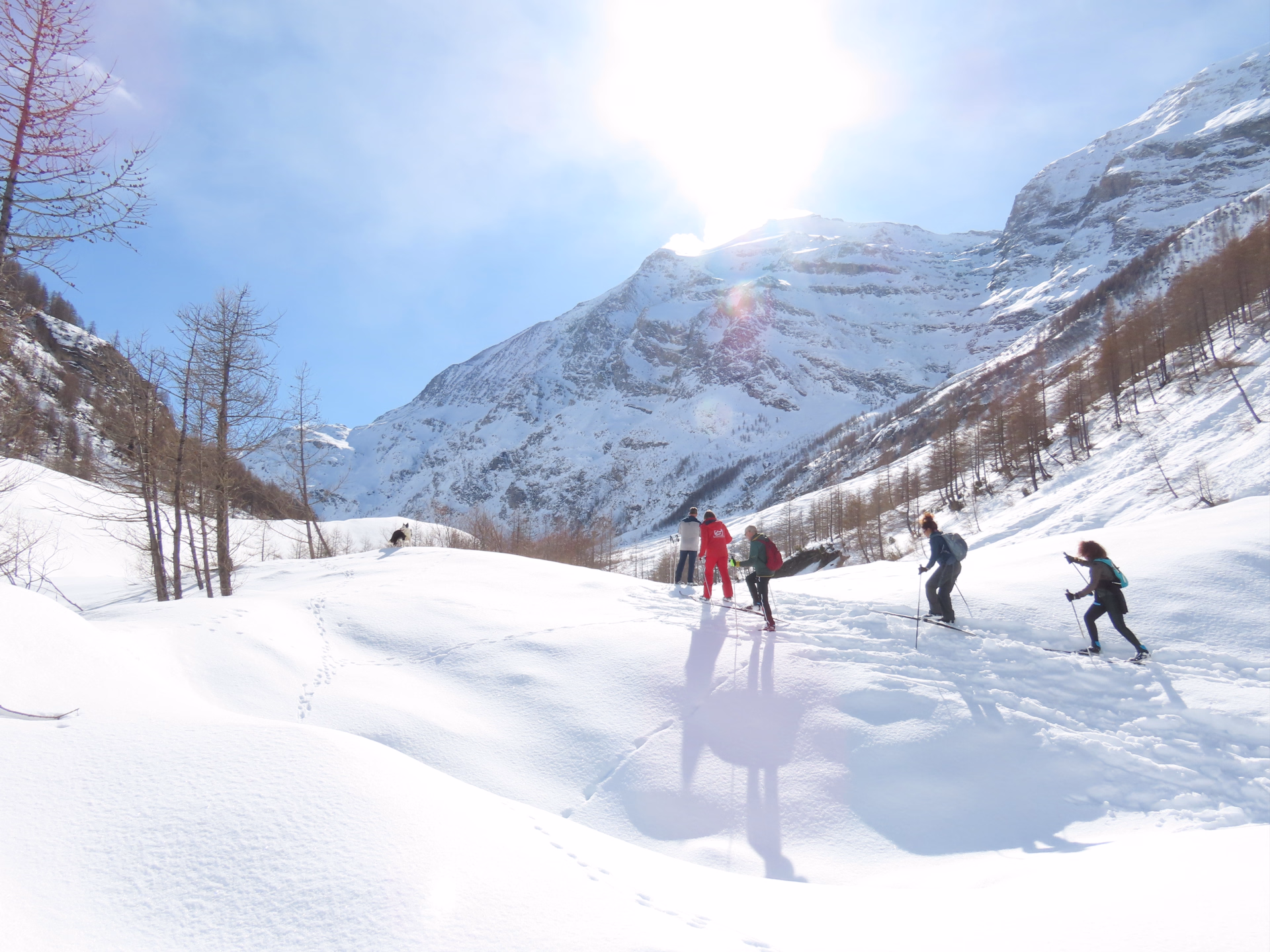 Ski de fond classic tout terrain à Bessans