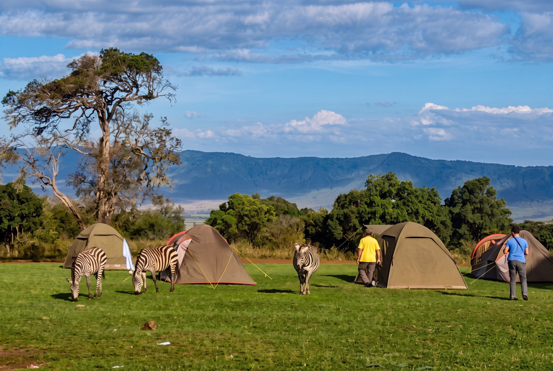 Safari camping de 5 jours en Tanzanie