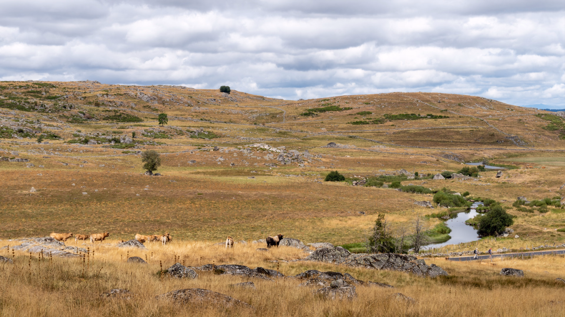 Du Puy-en-Velay à Aumont-Aubrac en randonnée