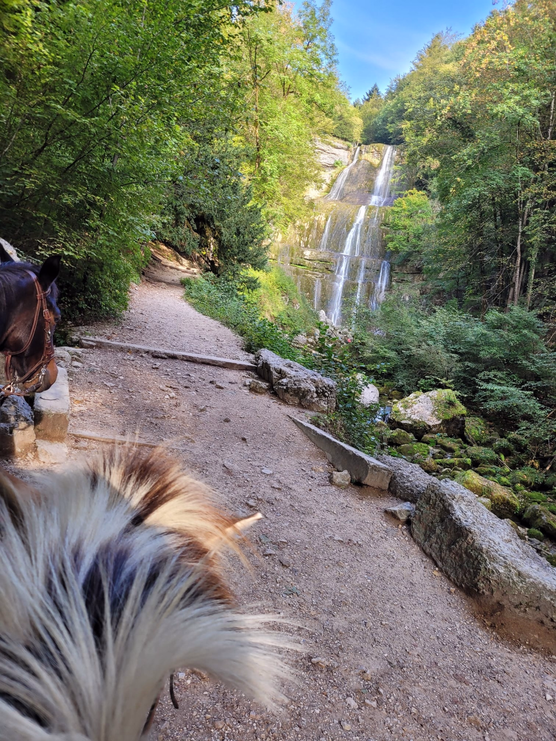 Rando à cheval au fil des lacs et cascades du Haut-Jura