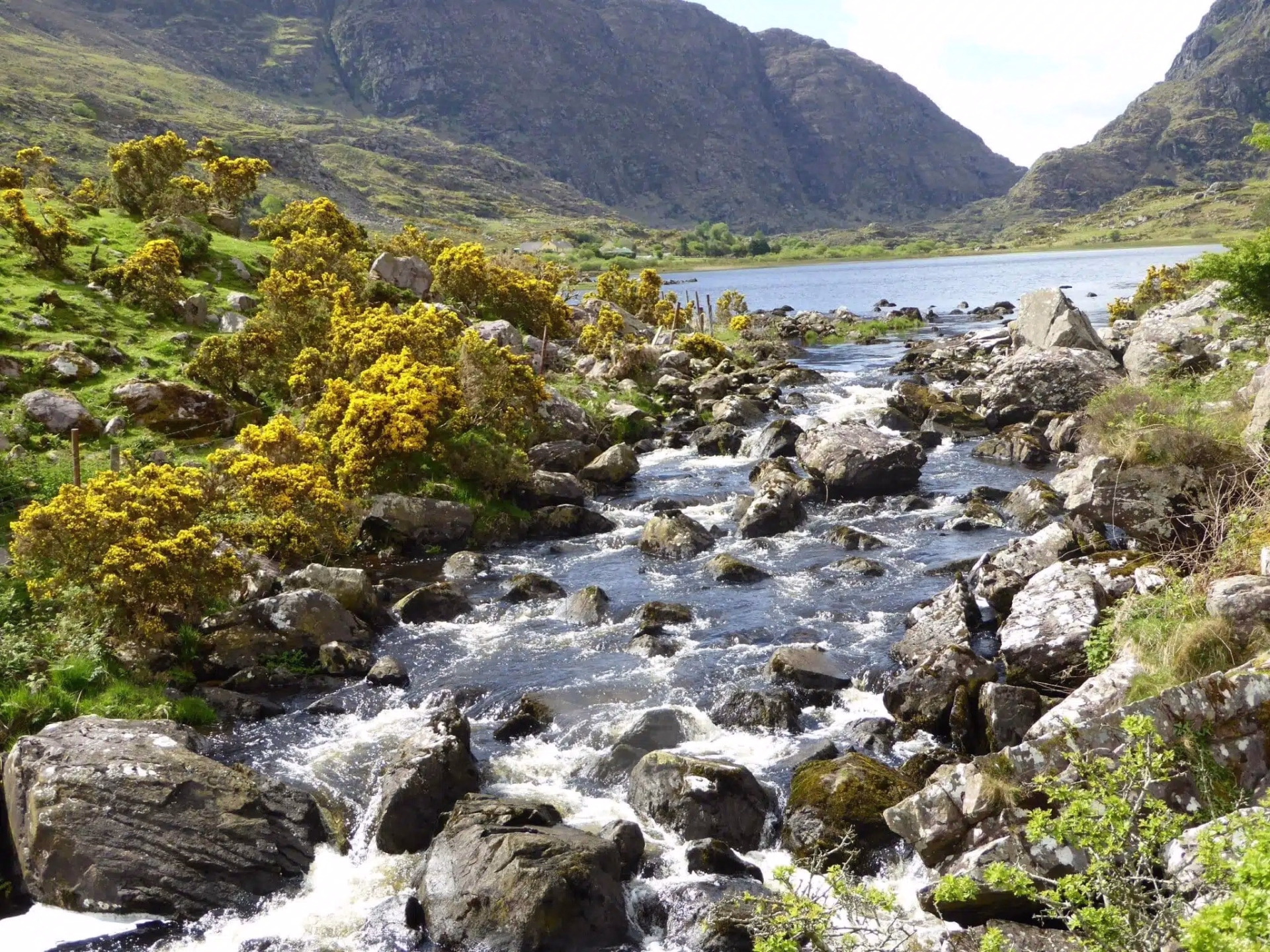 Randonnée en liberté de 5 jours sur le Kerry Way