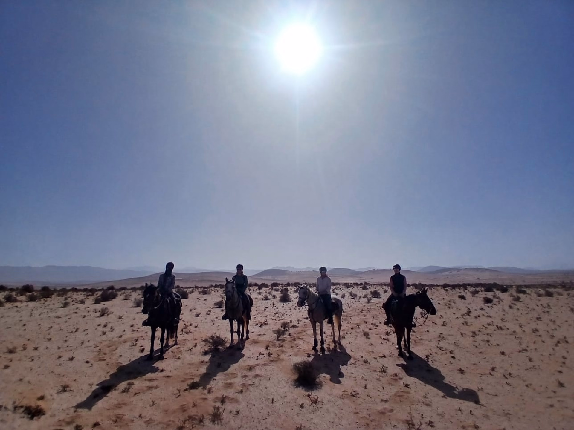 Le Grand Sud Marocain à Cheval : sur les Traces des Nomades Berbères