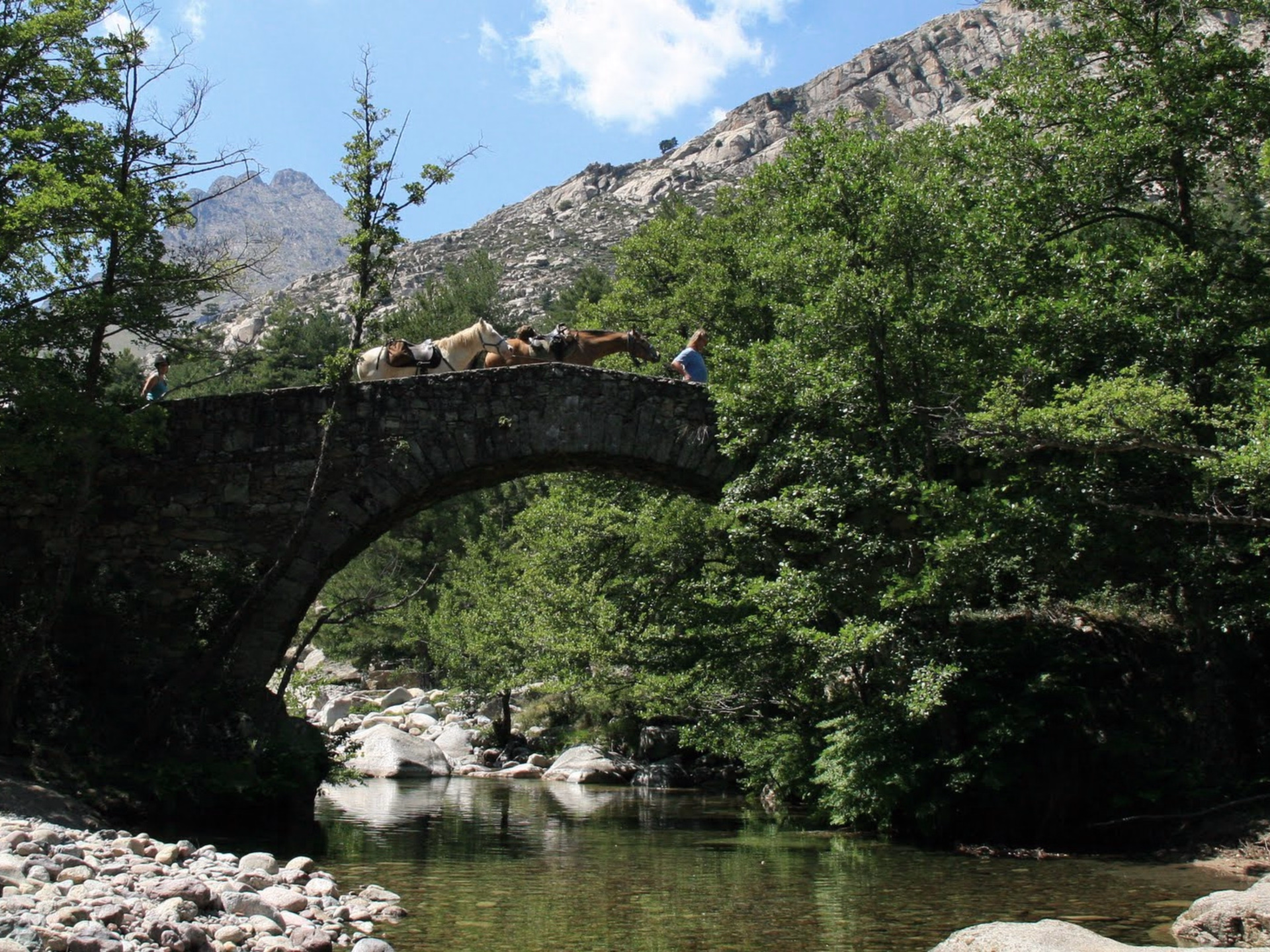 Initiation à la randonnée équestre en Corse